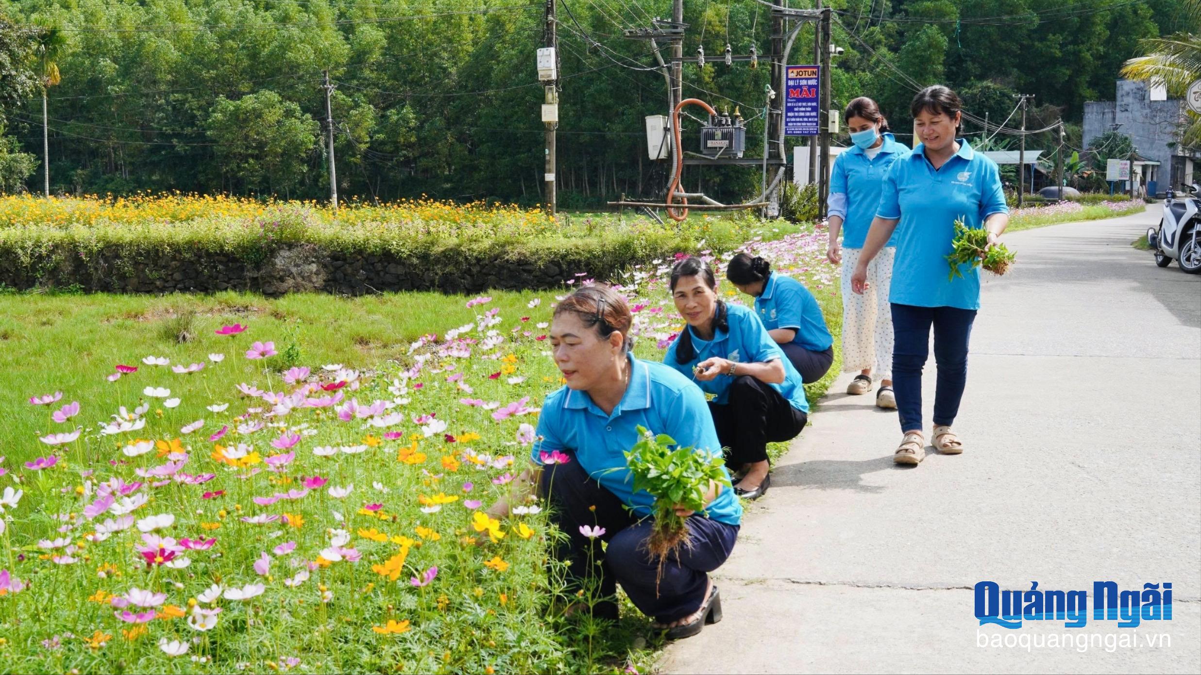 Chuyển biến từ một cuộc vận động