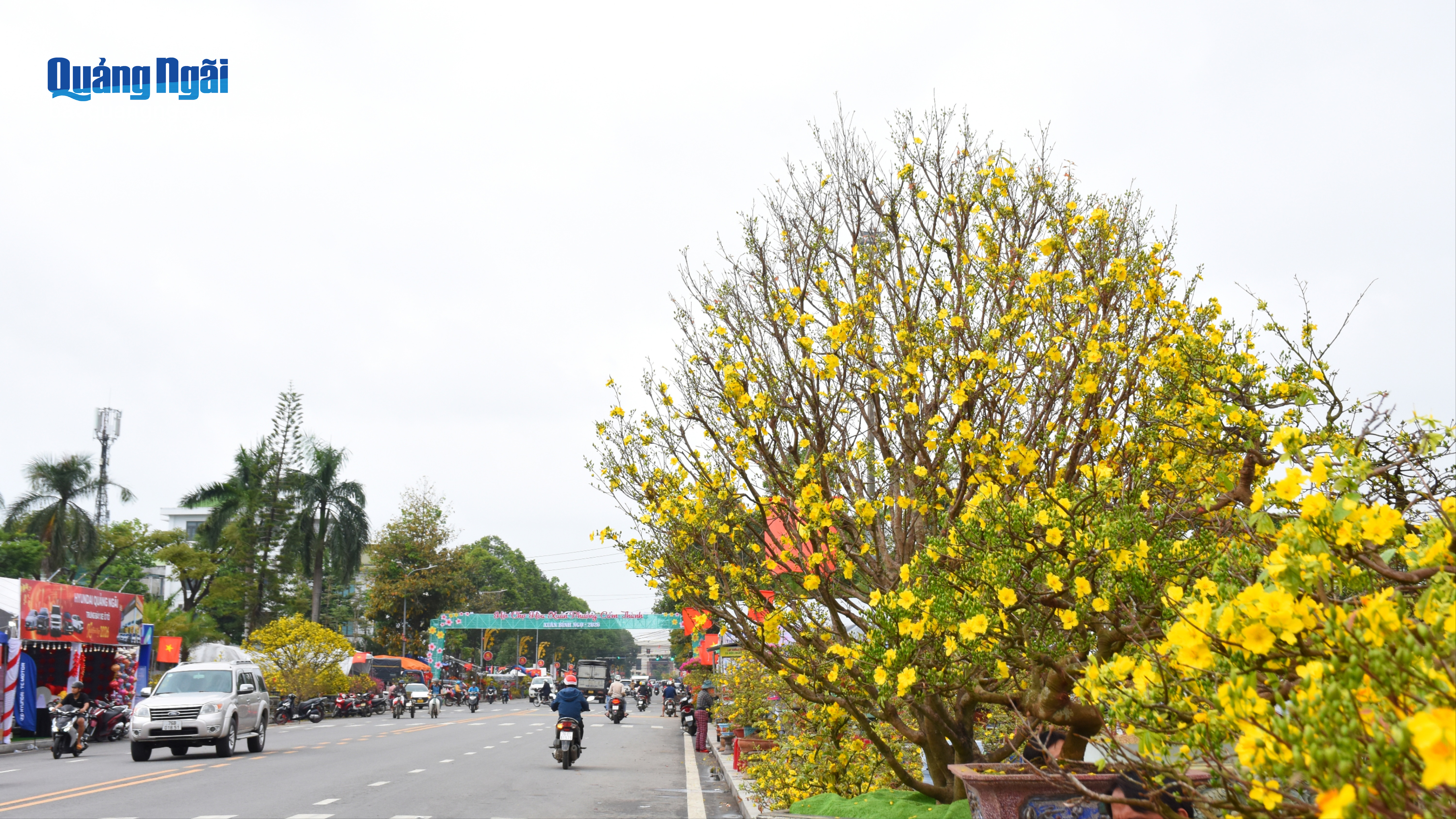 Rộn ràng đón xuân