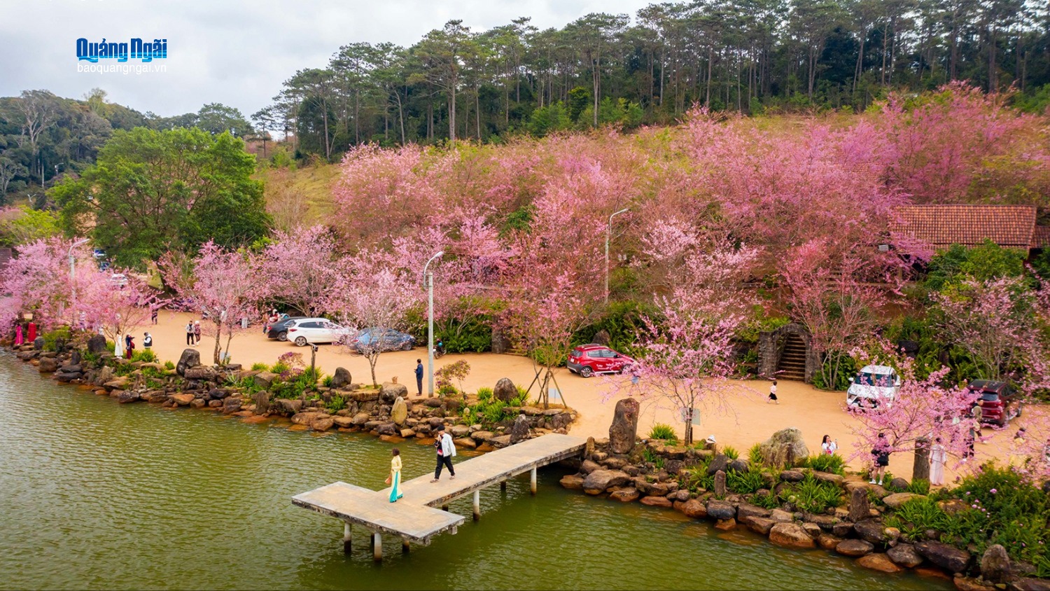 Thời tiết tết Nguyên Đán Bính Ngọ 2026 tại Quảng Ngãi: Đón giao thừa trong mưa xuân