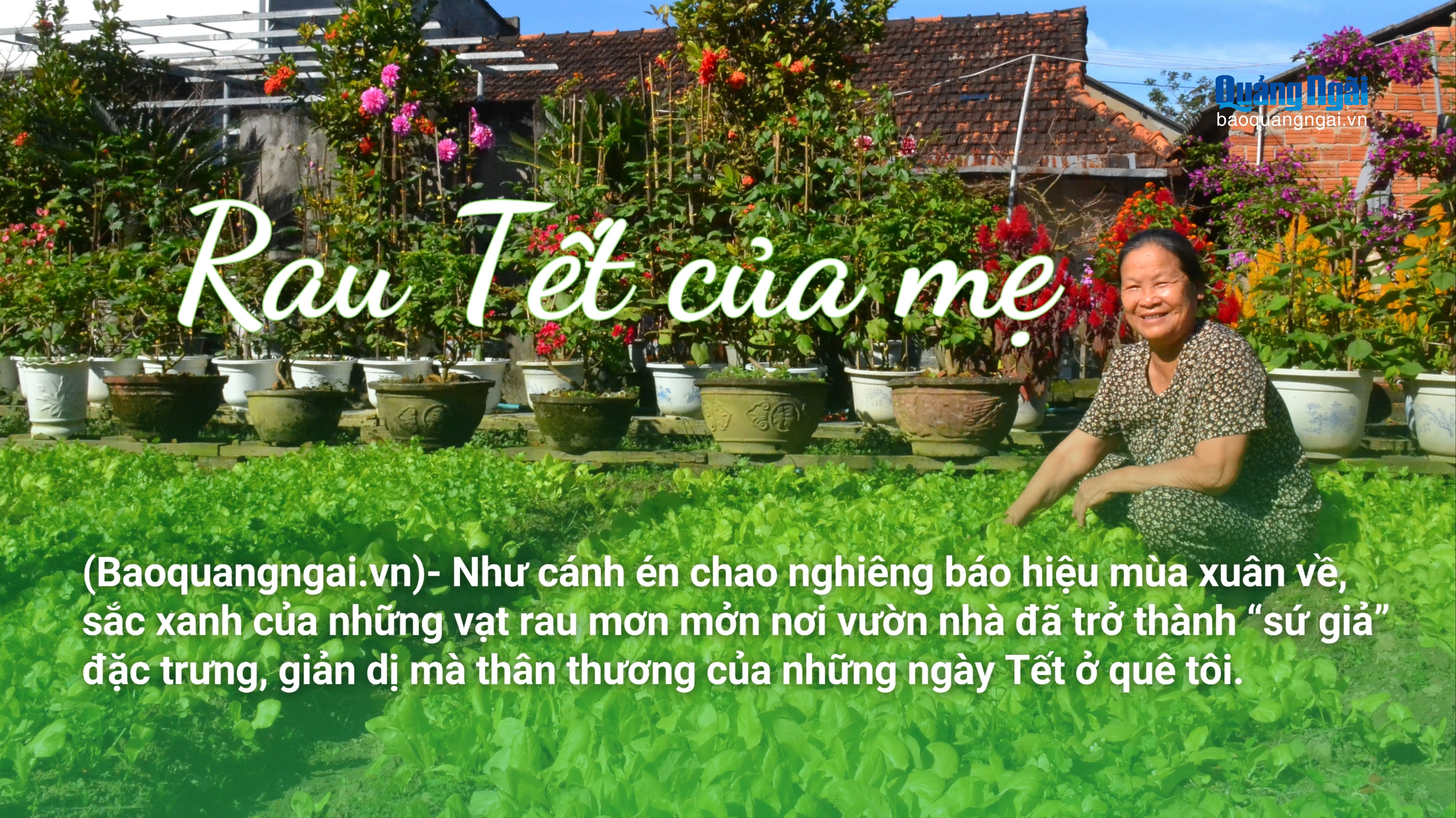 Rau Tết của mẹ