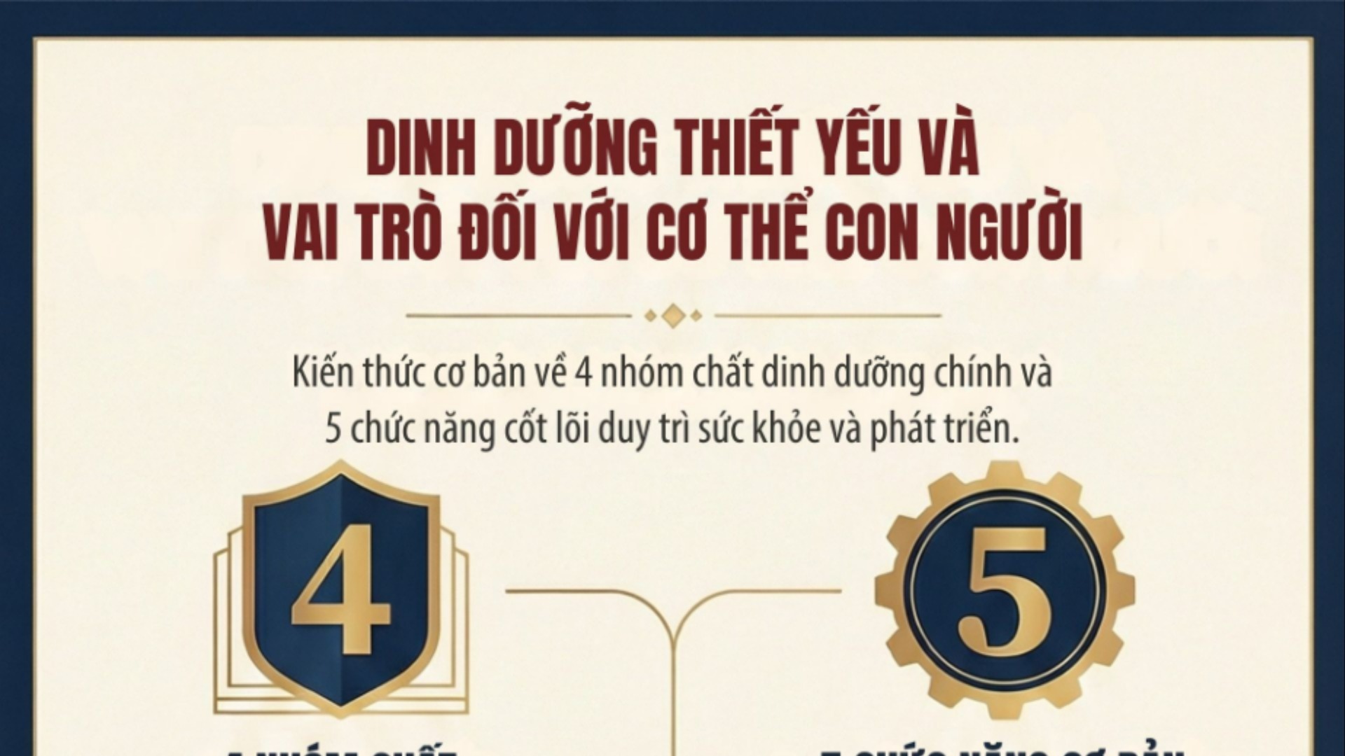 [Infographic]. Cơ thể con người cần các chất dinh dưỡng nào và vai trò của các nhóm chất dinh dưỡng đó?