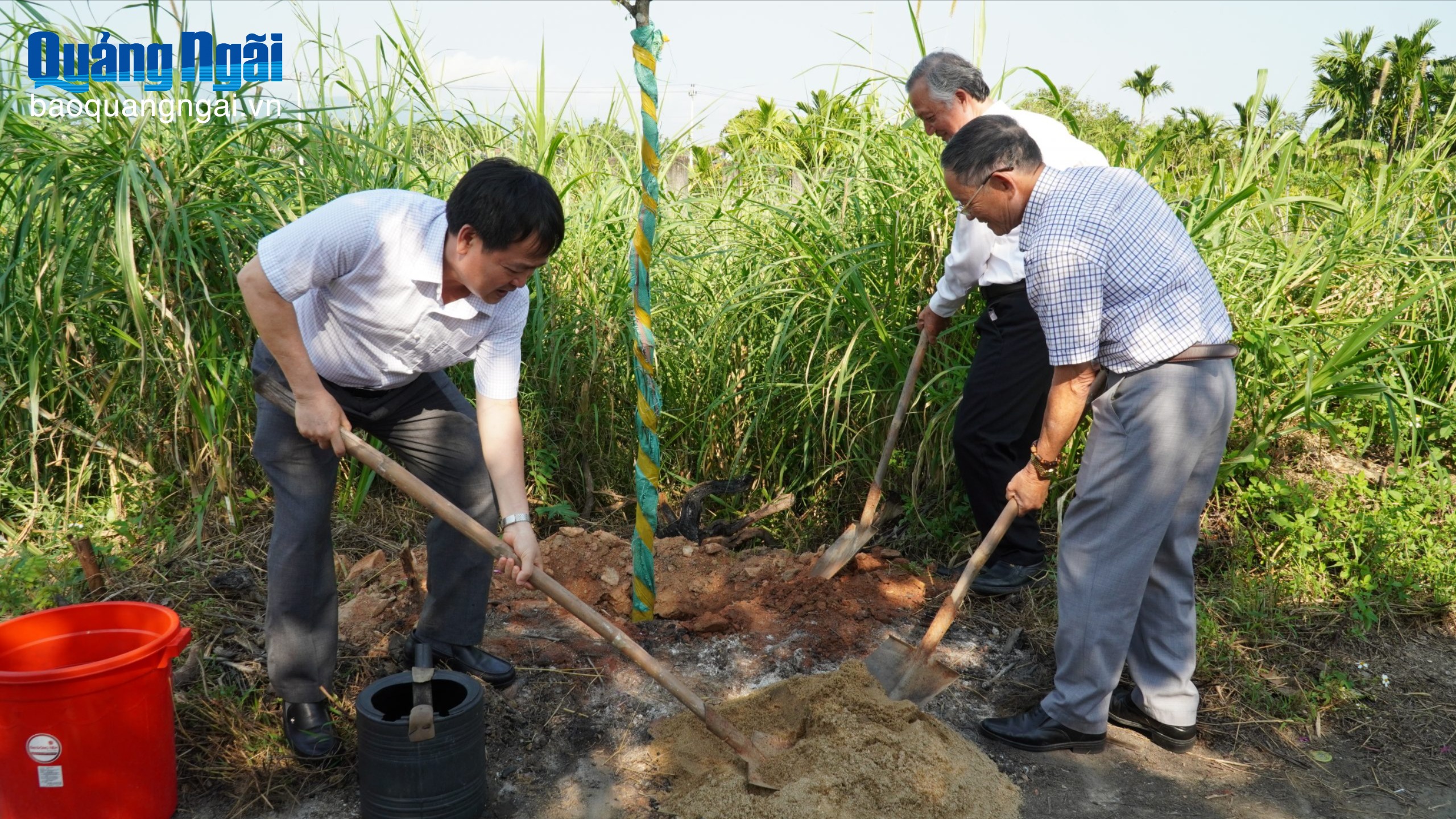 Phát huy nét đẹp Tết trồng cây