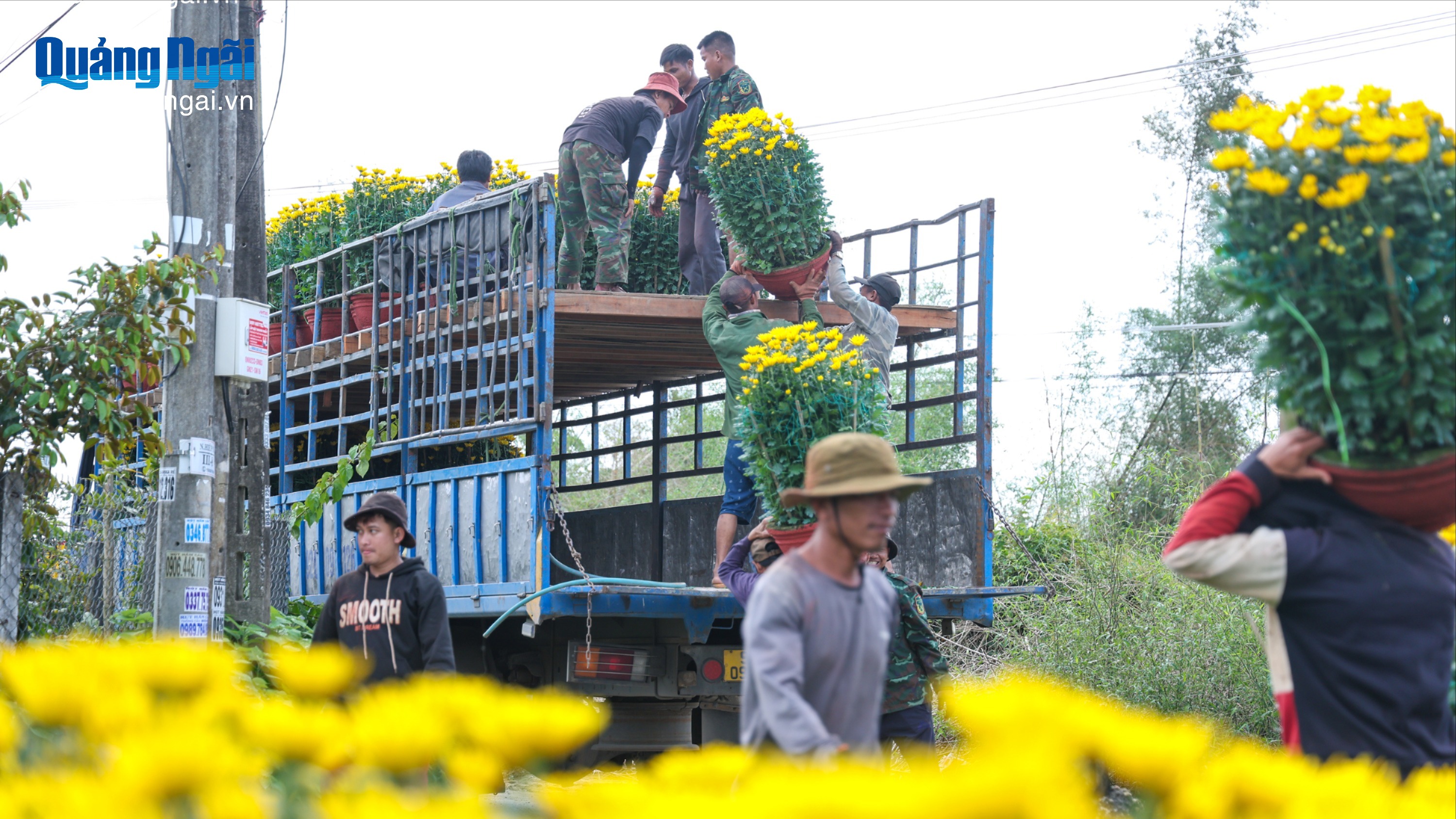 Cúc Nghĩa Hiệp xuống phố đón Xuân