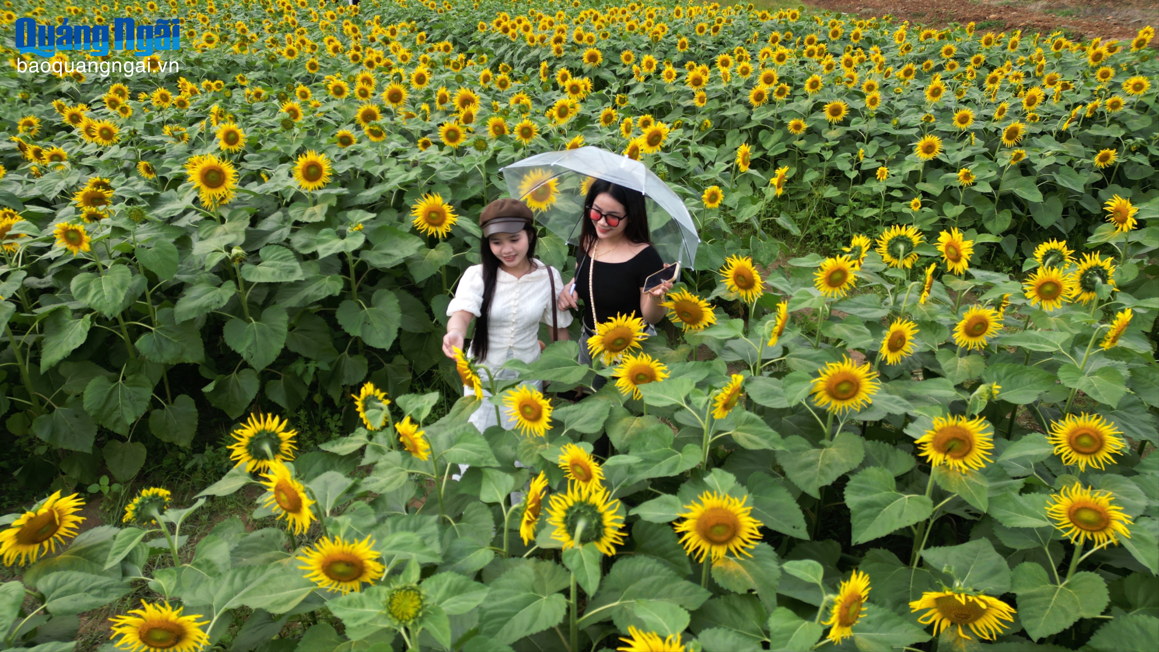 Cốt cách của người Quảng Ngãi