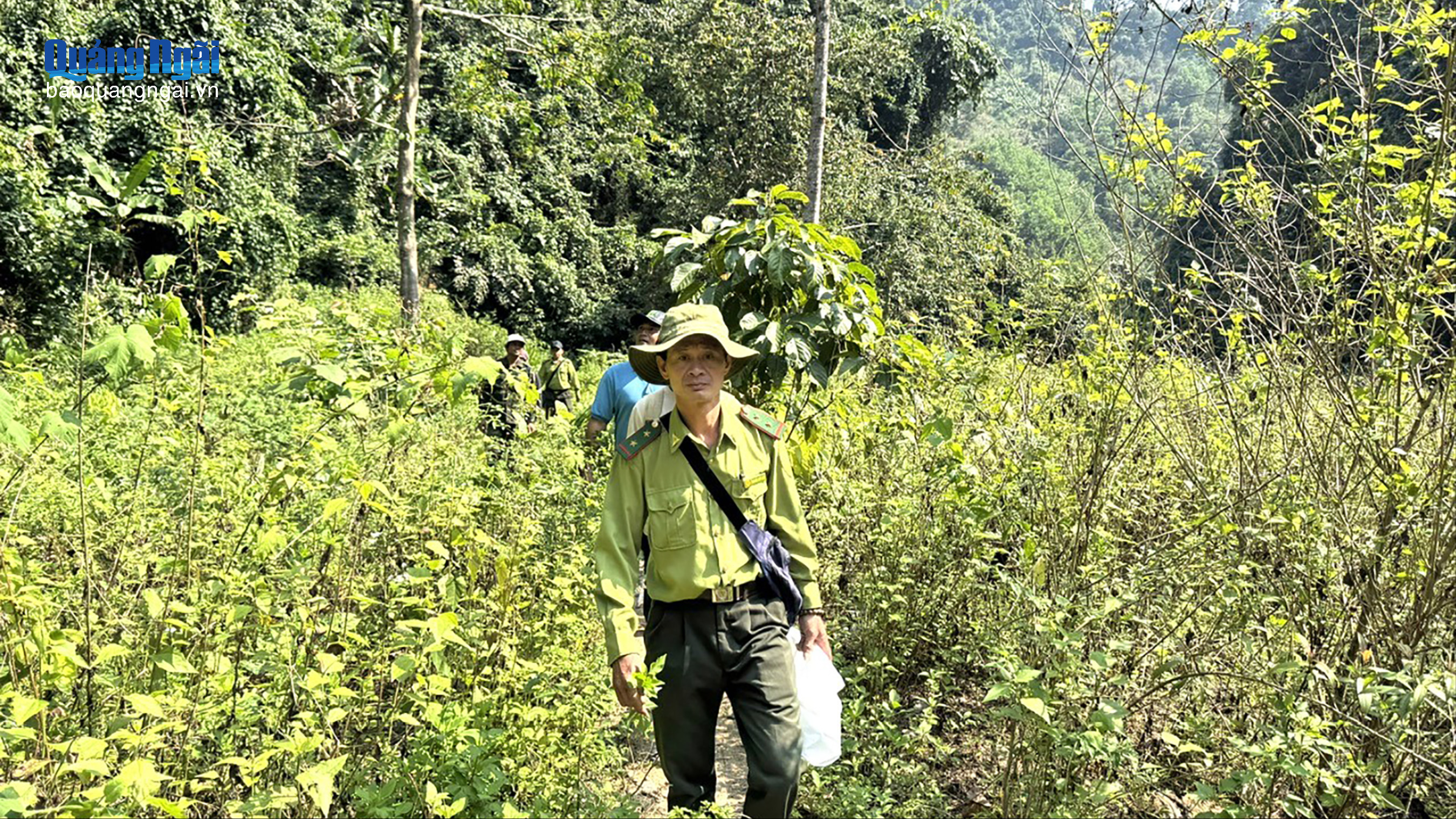 Chủ động bảo vệ rừng dịp Tết