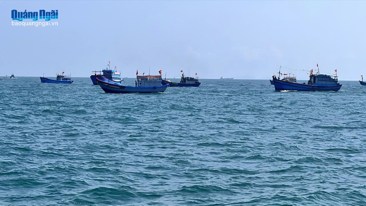 Đánh bắt hải sản có trách nhiệm