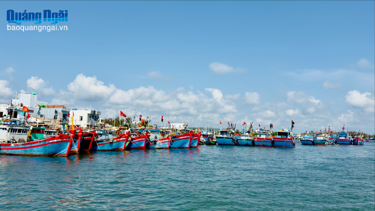 Ngư dân xoay xở với chi phí nhiên liệu