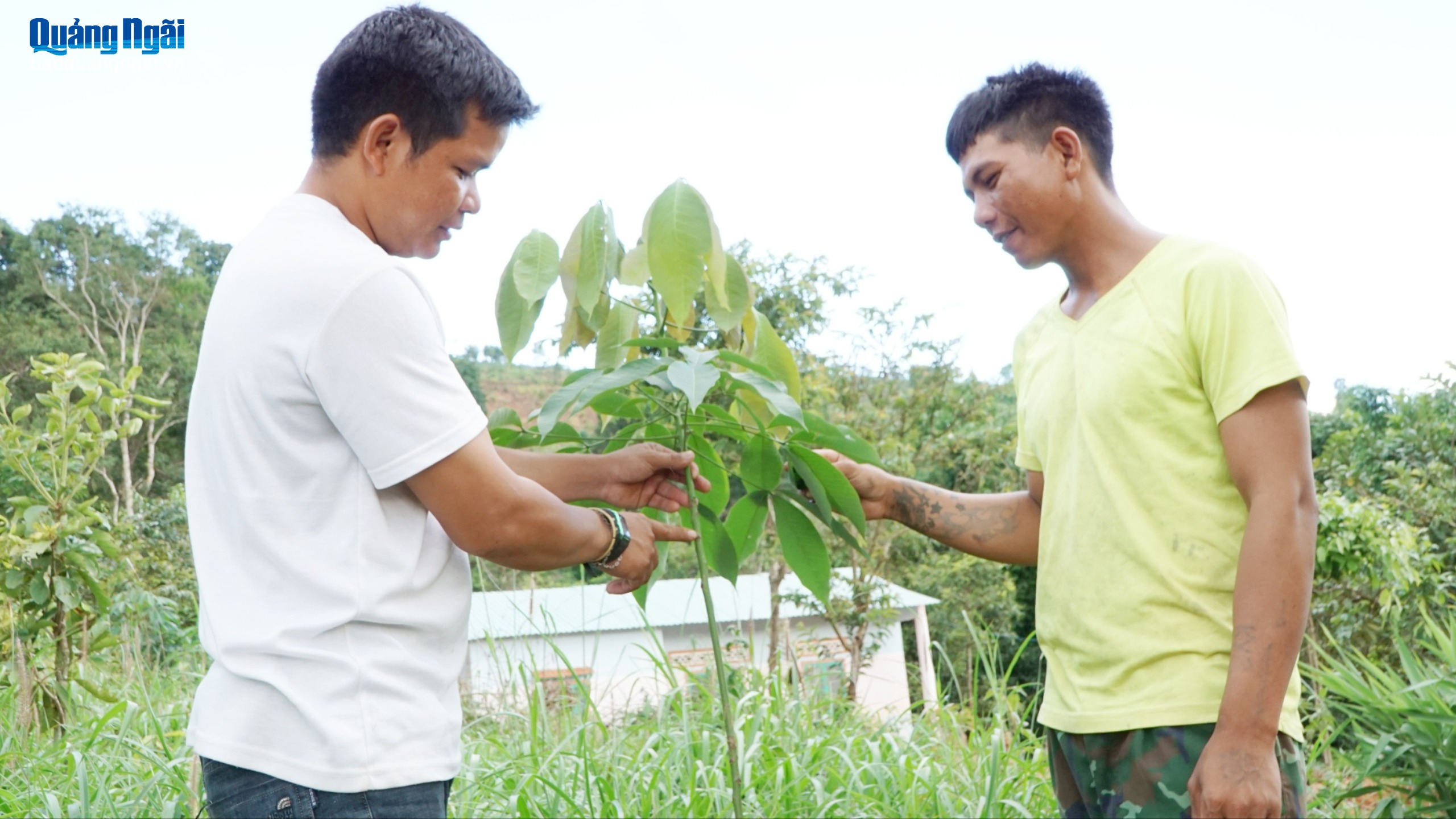 Những đảng viên vùng cao tiên phong, gương mẫu