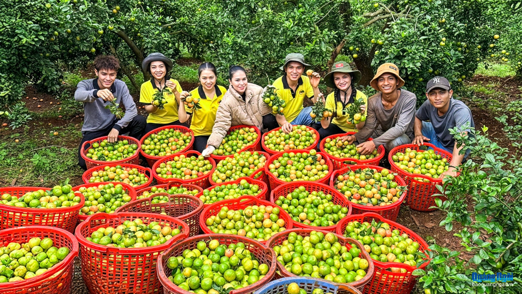 Khởi nghiệp từ dược liệu bản địa