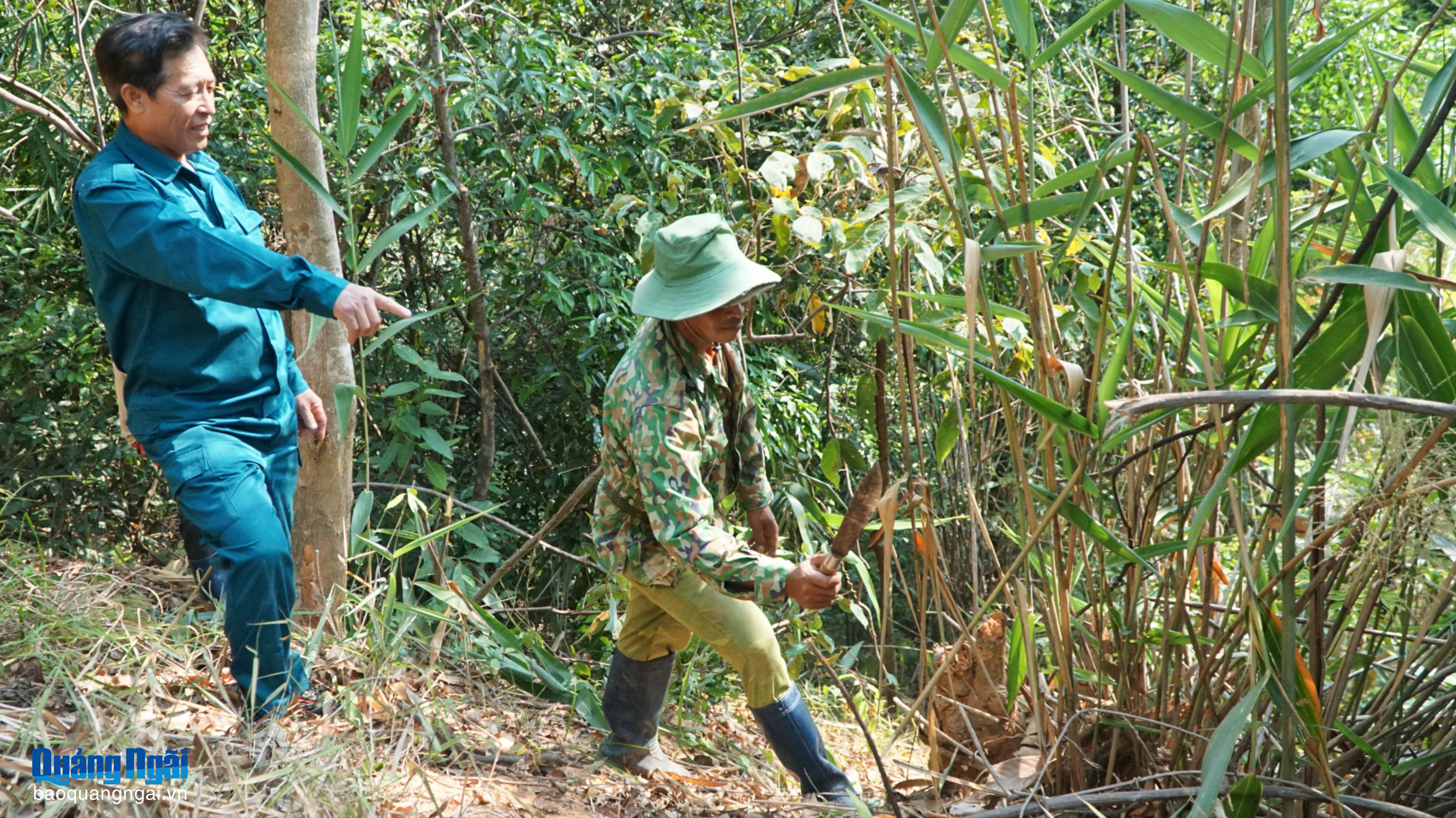 Chủ động phòng, chống cháy rừng