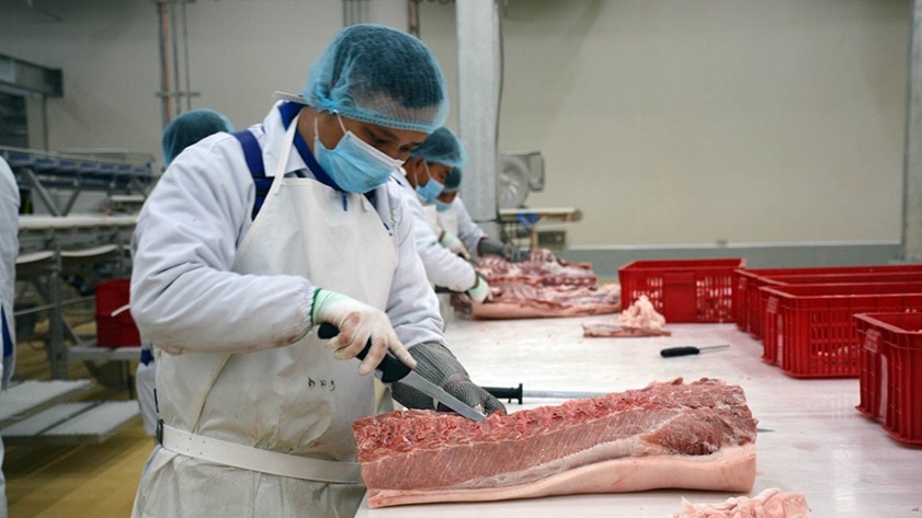 Chấn chỉnh hoạt động giết mổ động vật