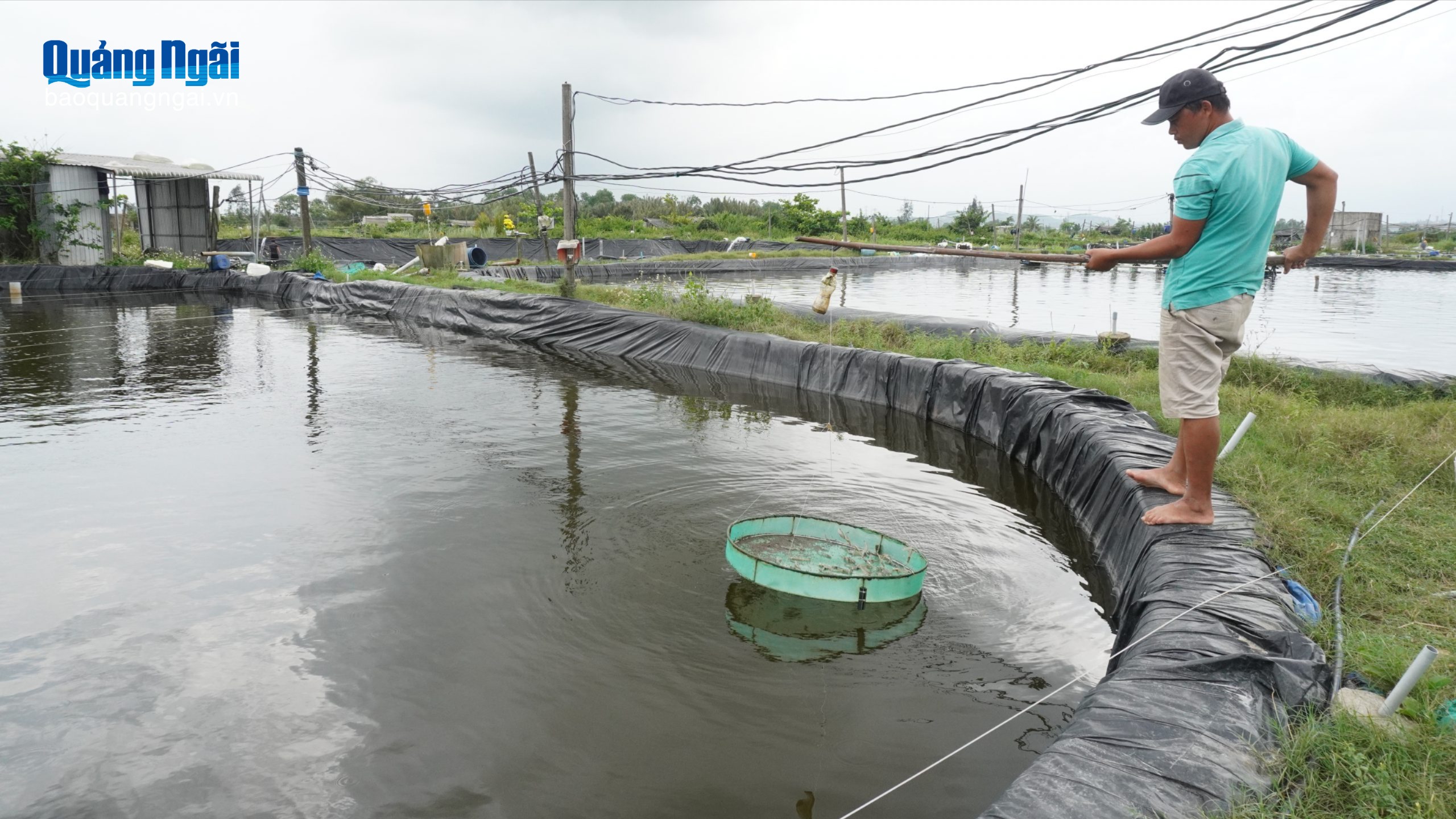 Nuôi trồng thủy sản thích ứng trước biến động