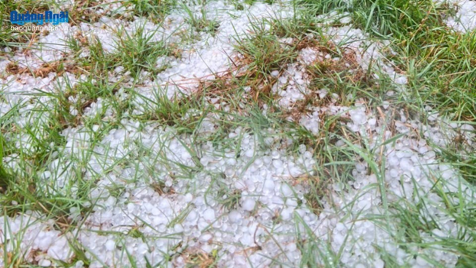 Mưa đá kèm lốc xoáy gây thiệt hại nhiều diện tích cây trồng tại xã Tu Mơ Rông