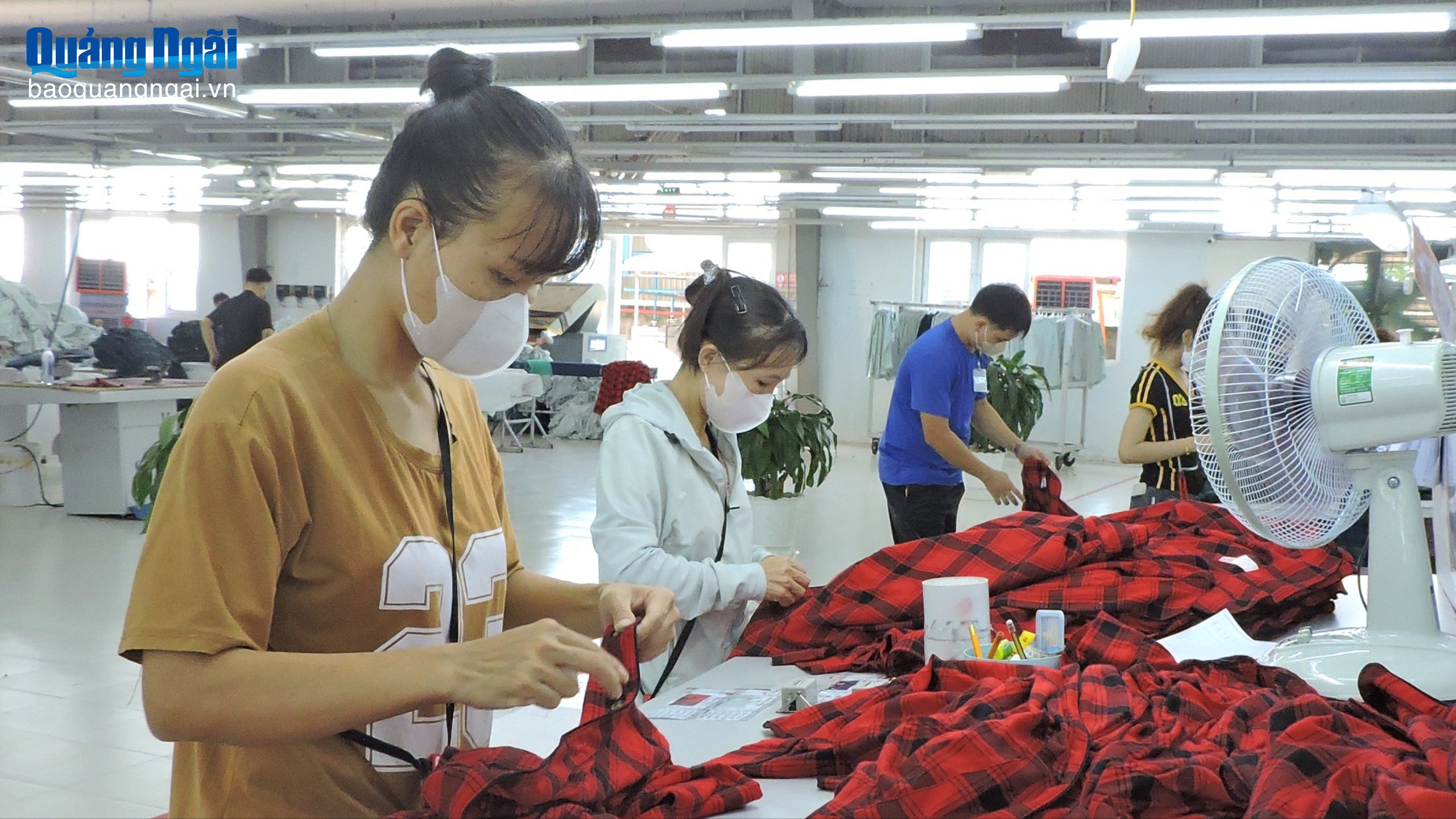 Cơ hội việc làm ở quê hương