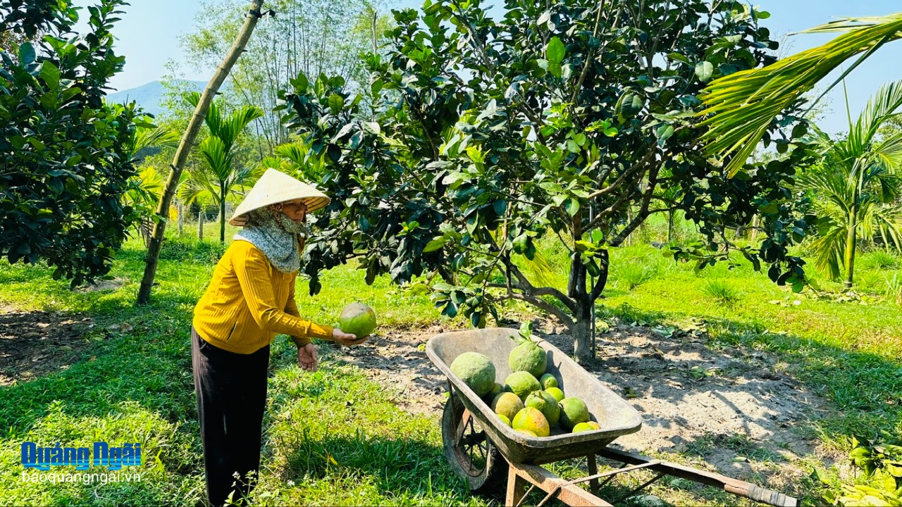 Nông dân khó tiếp cận nguồn vốn tín dụng
