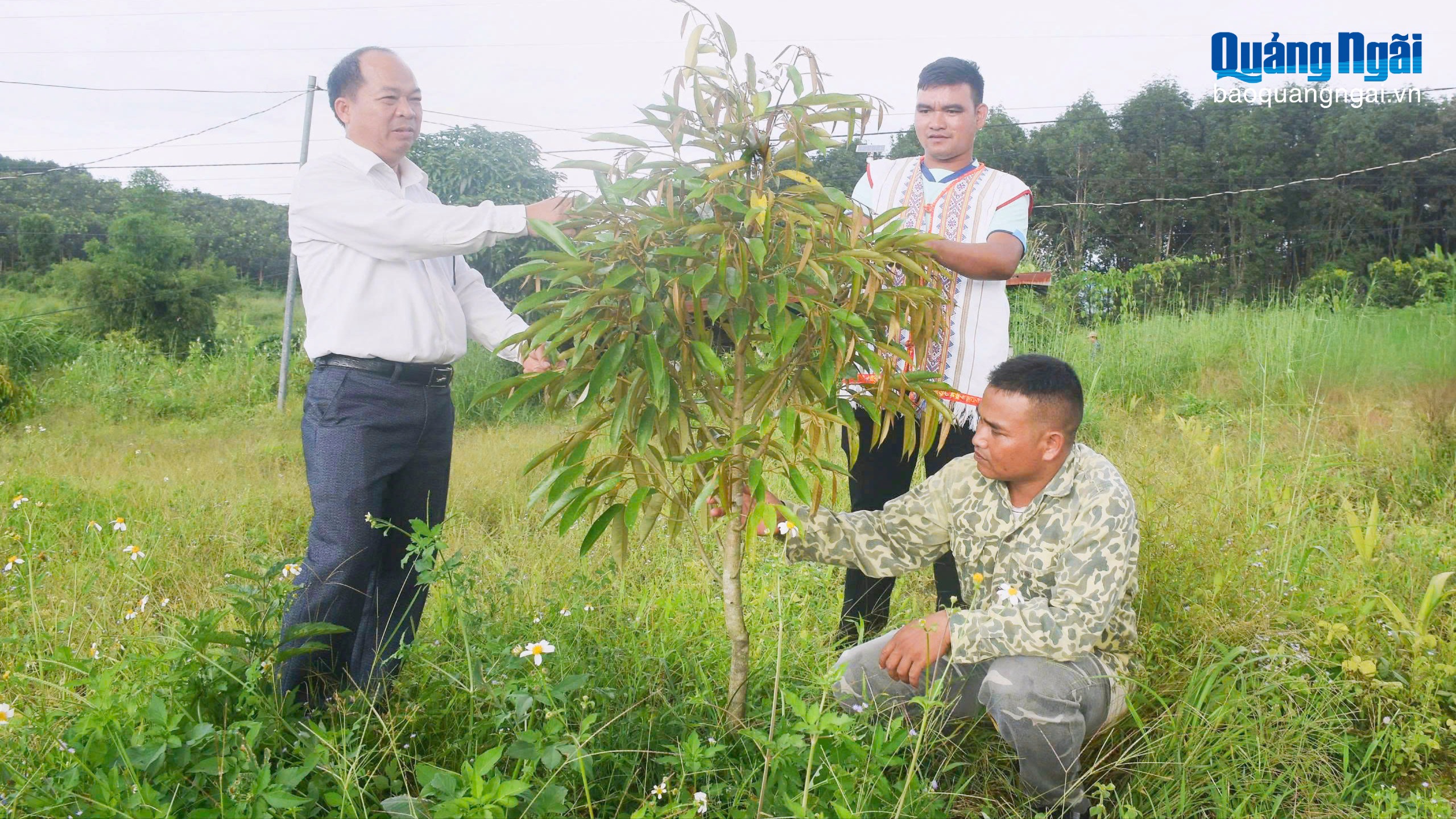 Nâng cao vai trò tổ chức đảng và đảng viên