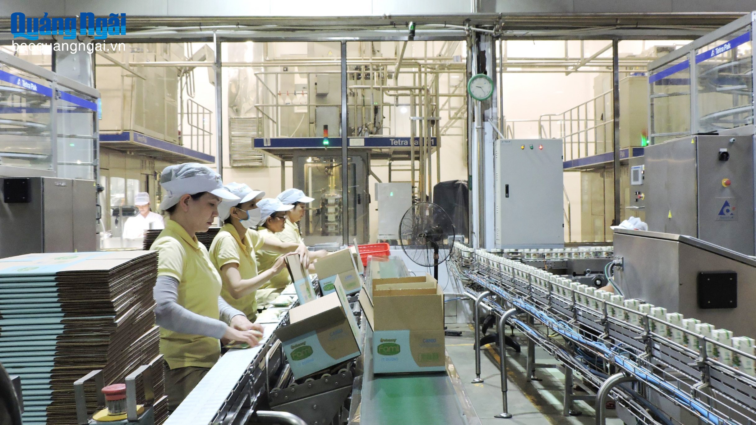 Tổng điều tra kinh tế năm 2026: Đảm bảo chính xác, không bỏ sót đối tượng