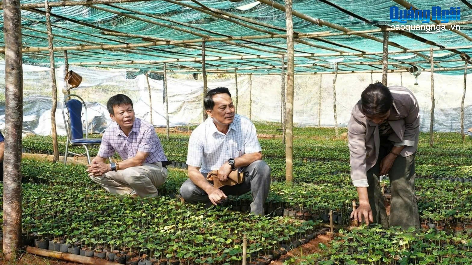 Bản lĩnh và trách nhiệm