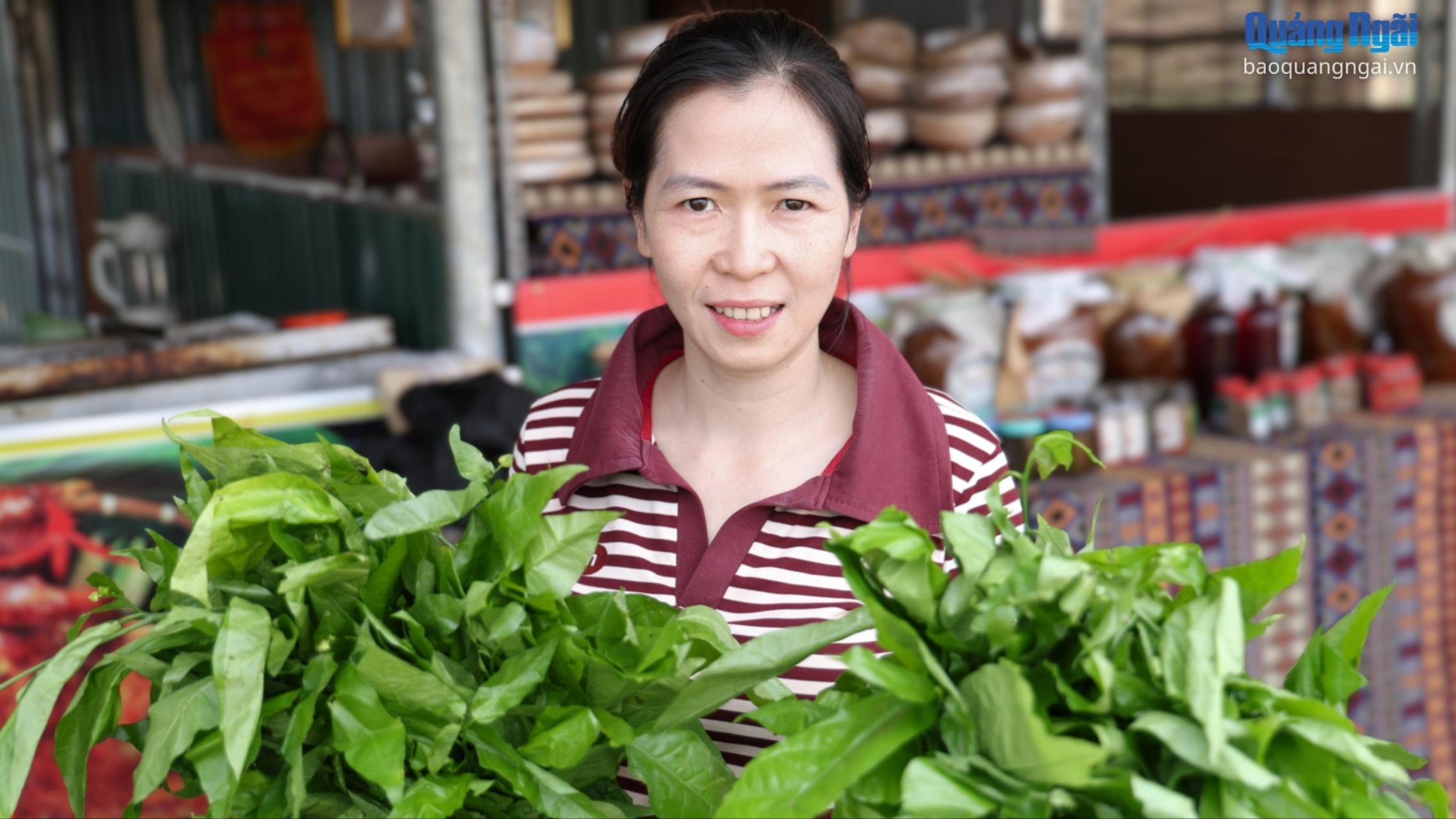 Ngọt lành rau ngót rừng