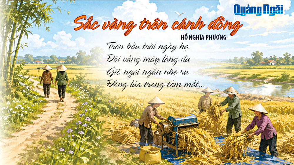 Sắc vàng trên cánh đồng