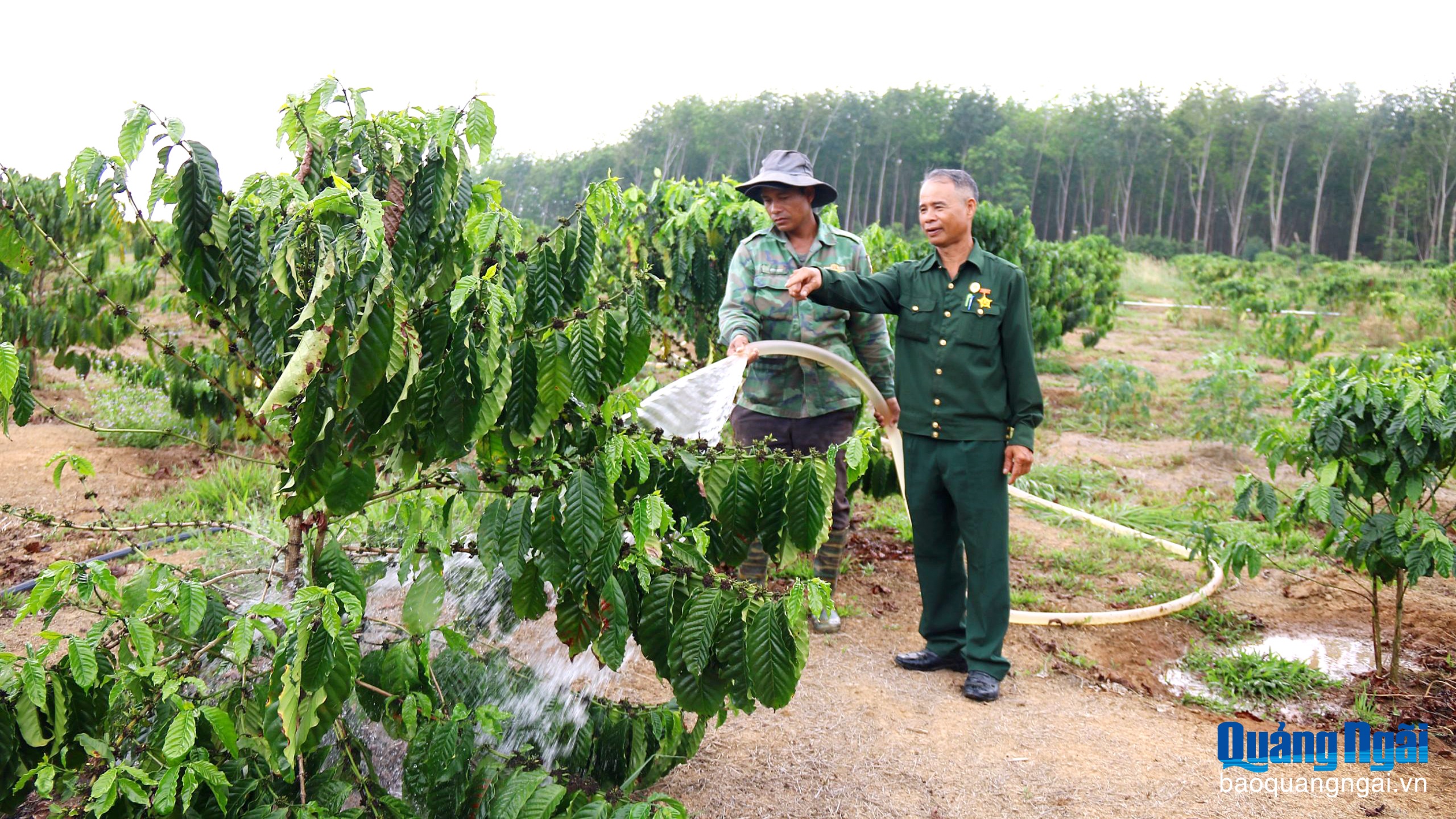 Bộ đội Cụ Hồ là thế đó