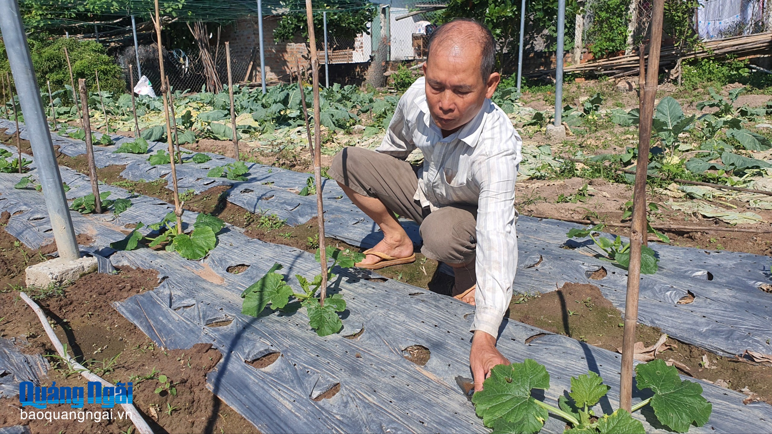 Góp sức xây dựng quê hương