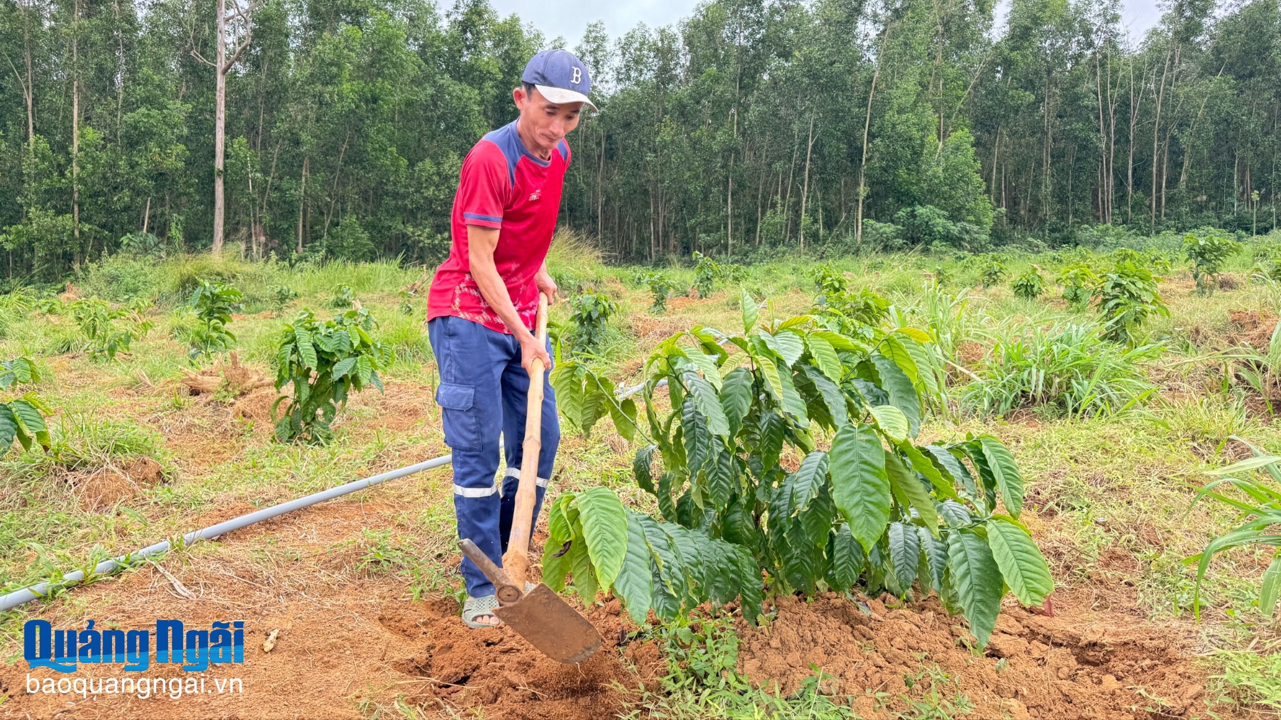 Cải cách để thúc đẩy tăng trưởng