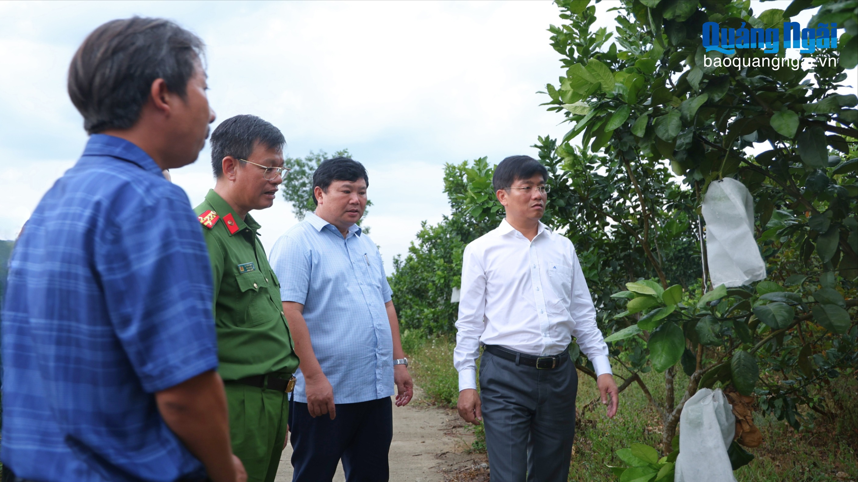 Khai thác hiệu quả tiềm năng cây ăn quả ở xã Sơn Linh