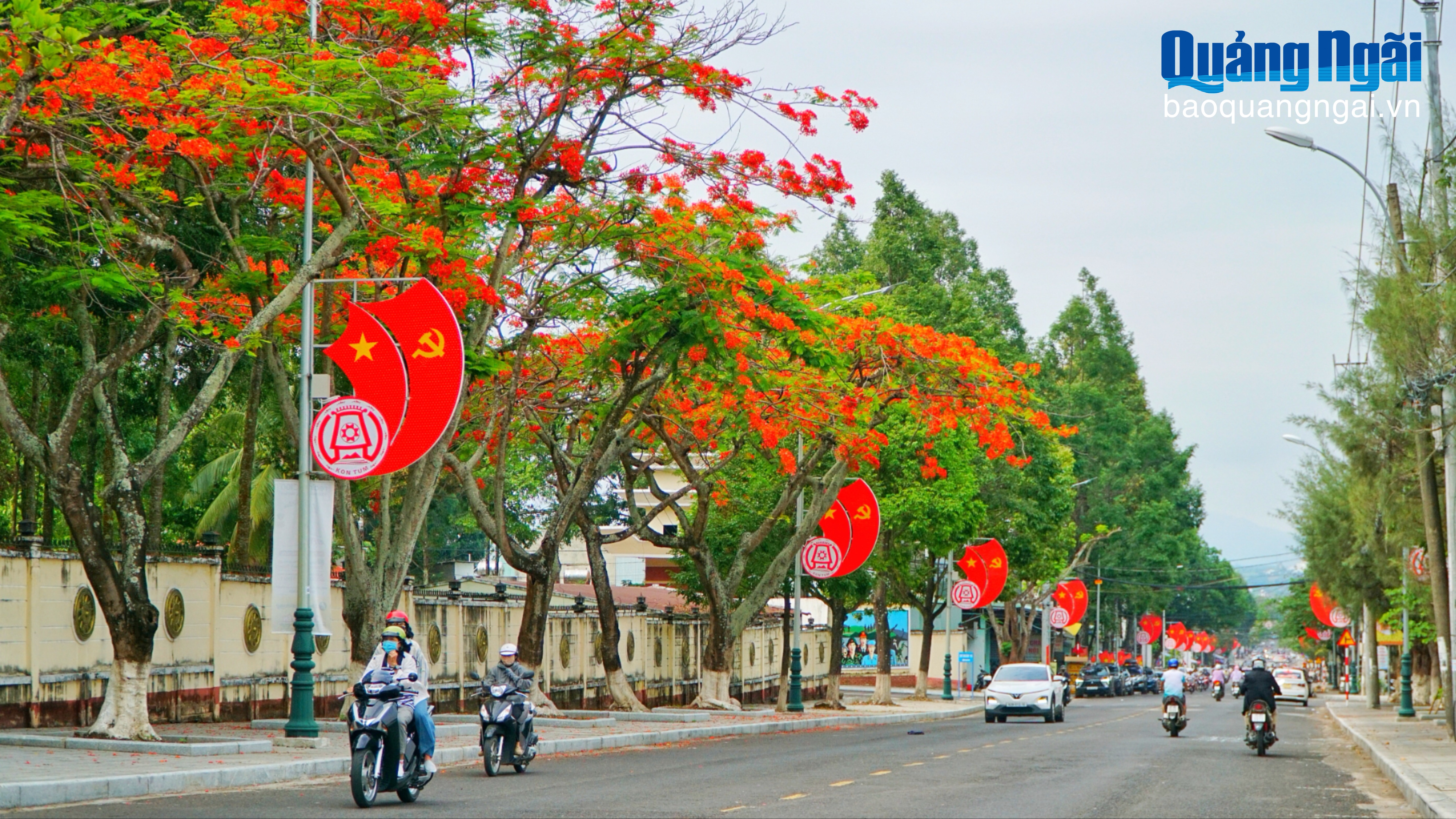 [Ảnh]. Rực rỡ sắc hoa gọi hè về