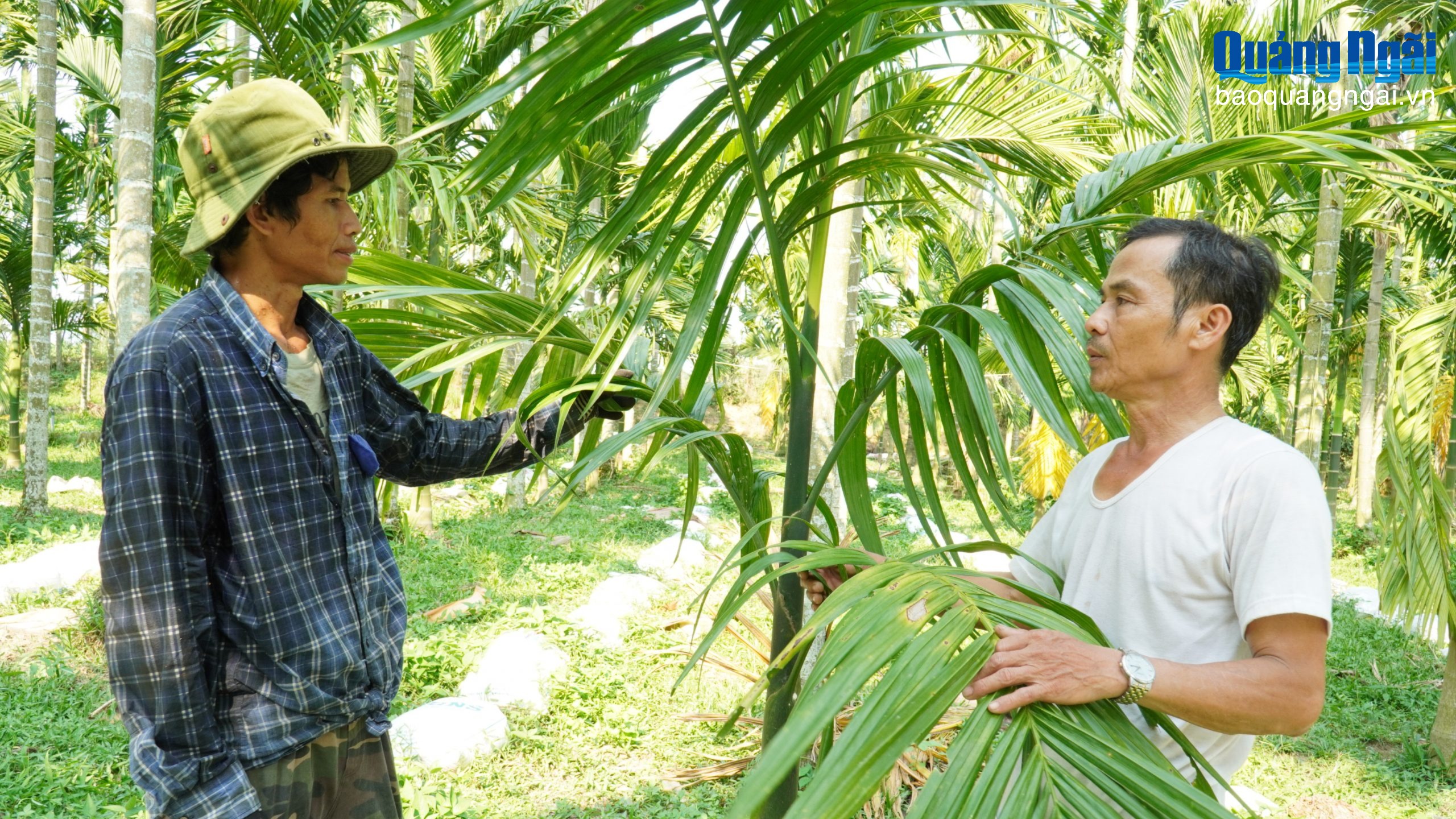 Hạt nhân xây dựng nông thôn mới