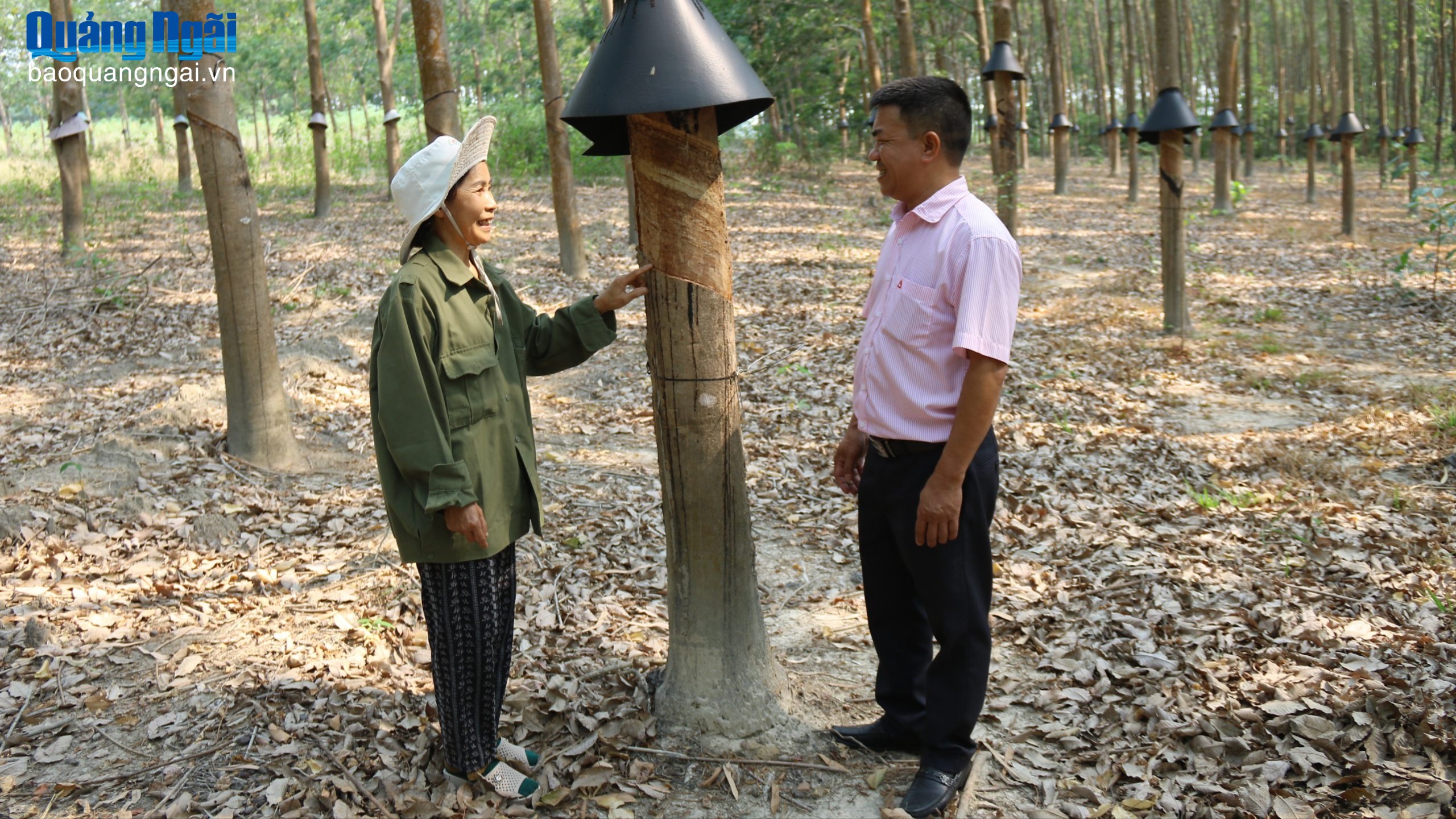 Vốn chính sách tạo lực đẩy sinh kế