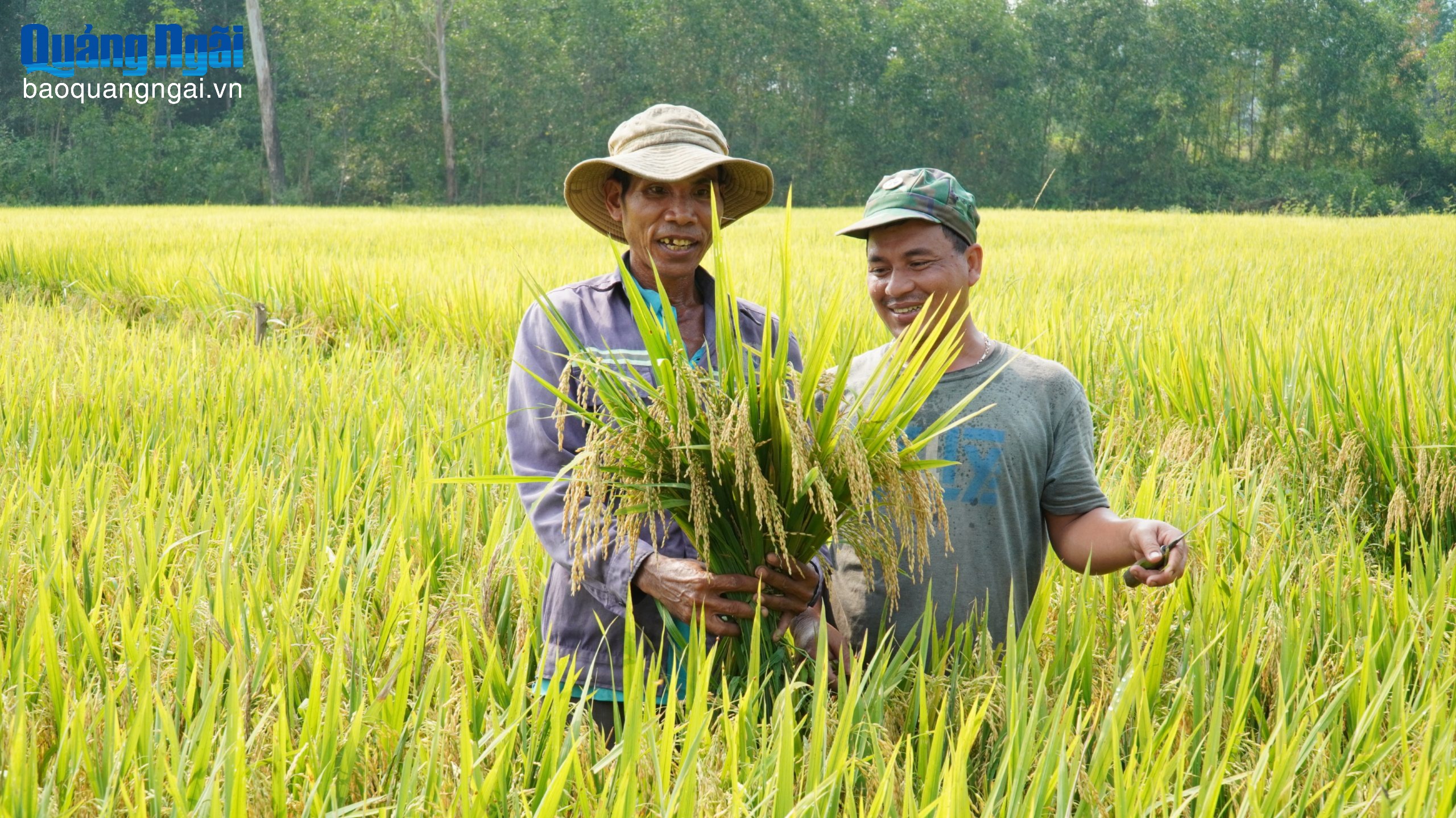 Niềm vui chưa trọn