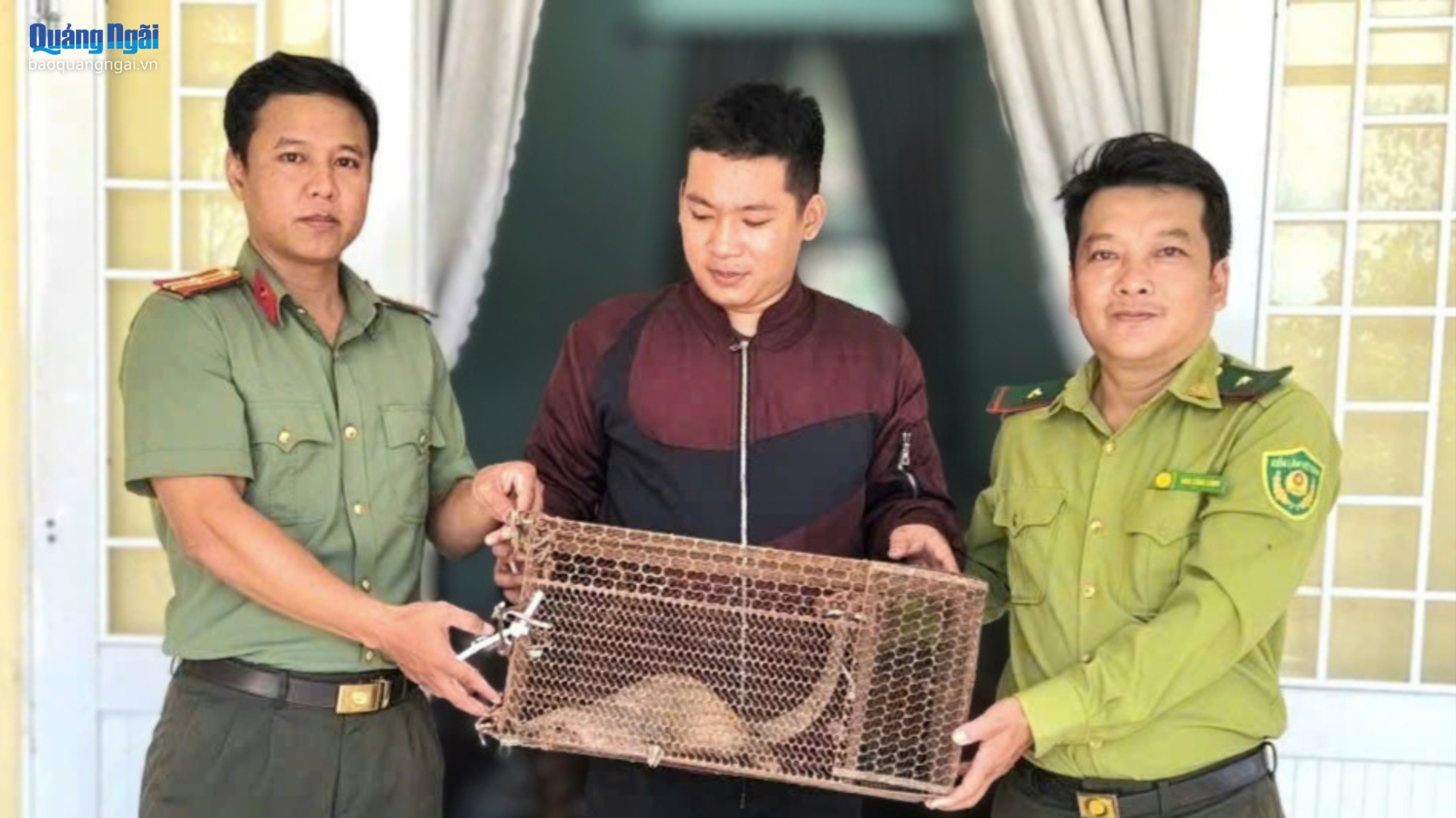 Phát hiện tê tê trong vườn nhà, chủ động giao nộp cơ quan chức năng