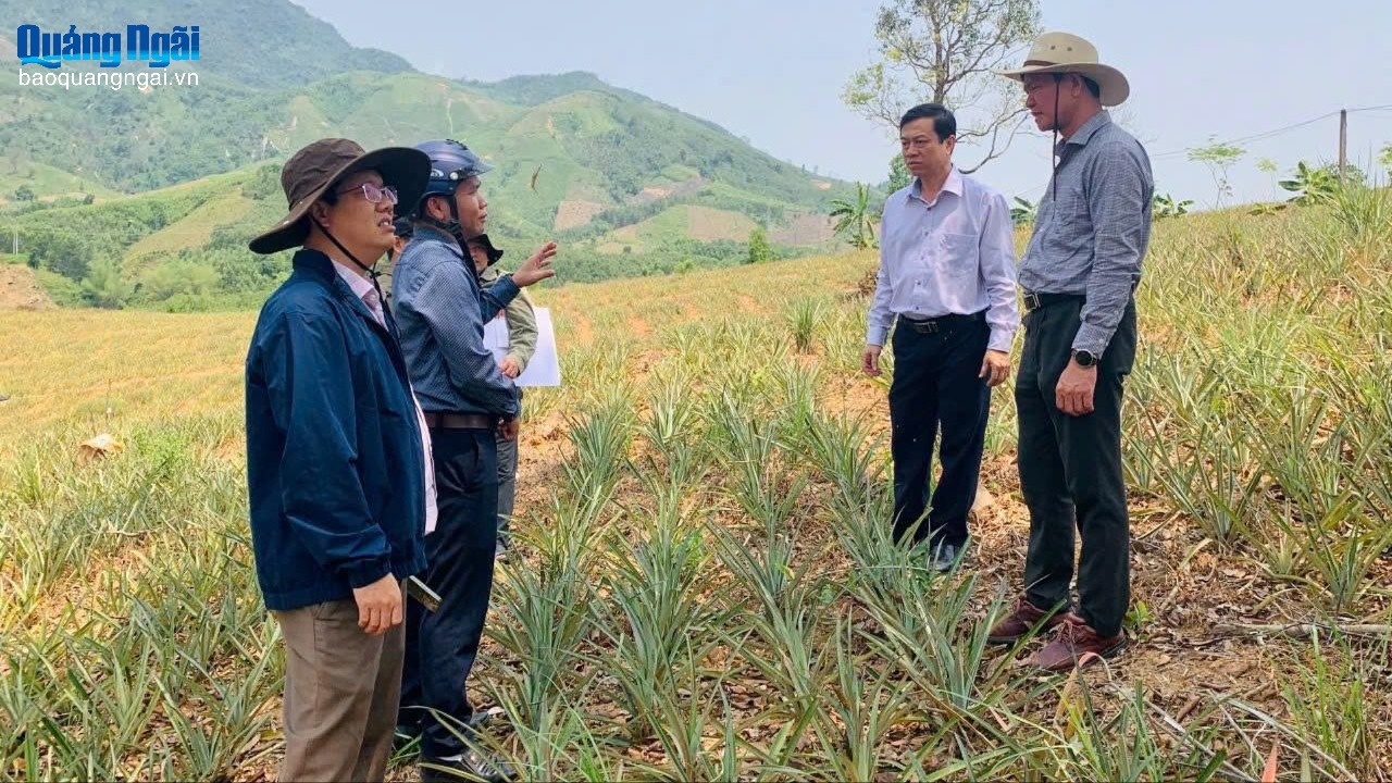Tăng cường nắm bắt dư luận xã hội