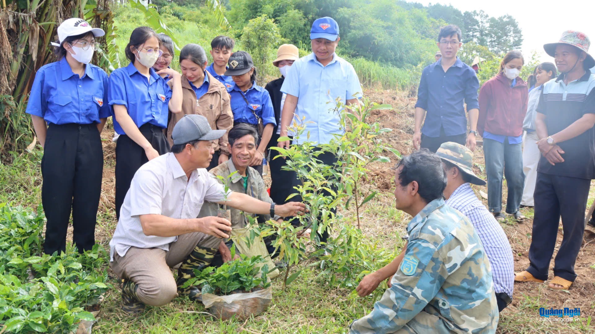 Ra quân hỗ trợ người dân trồng hơn 1 triệu cây cà phê