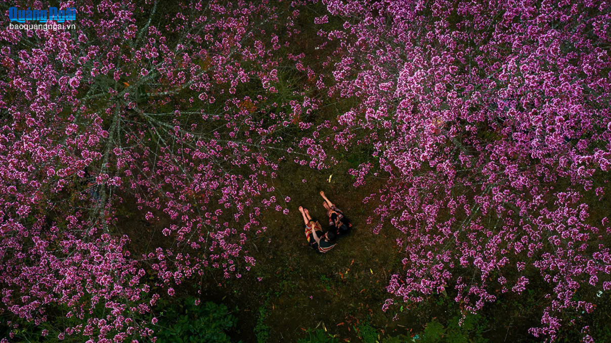 [Photos]. Du lịch Quảng Ngãi, những sắc màu sinh động
