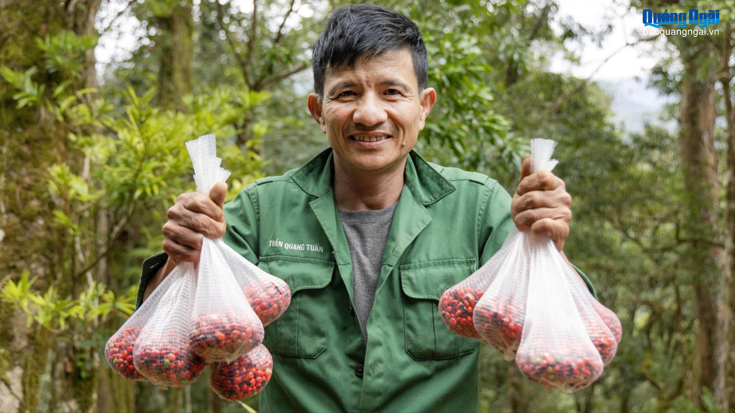 Lợi thế đầu tư dược liệu tại “thủ phủ” Quảng Ngãi