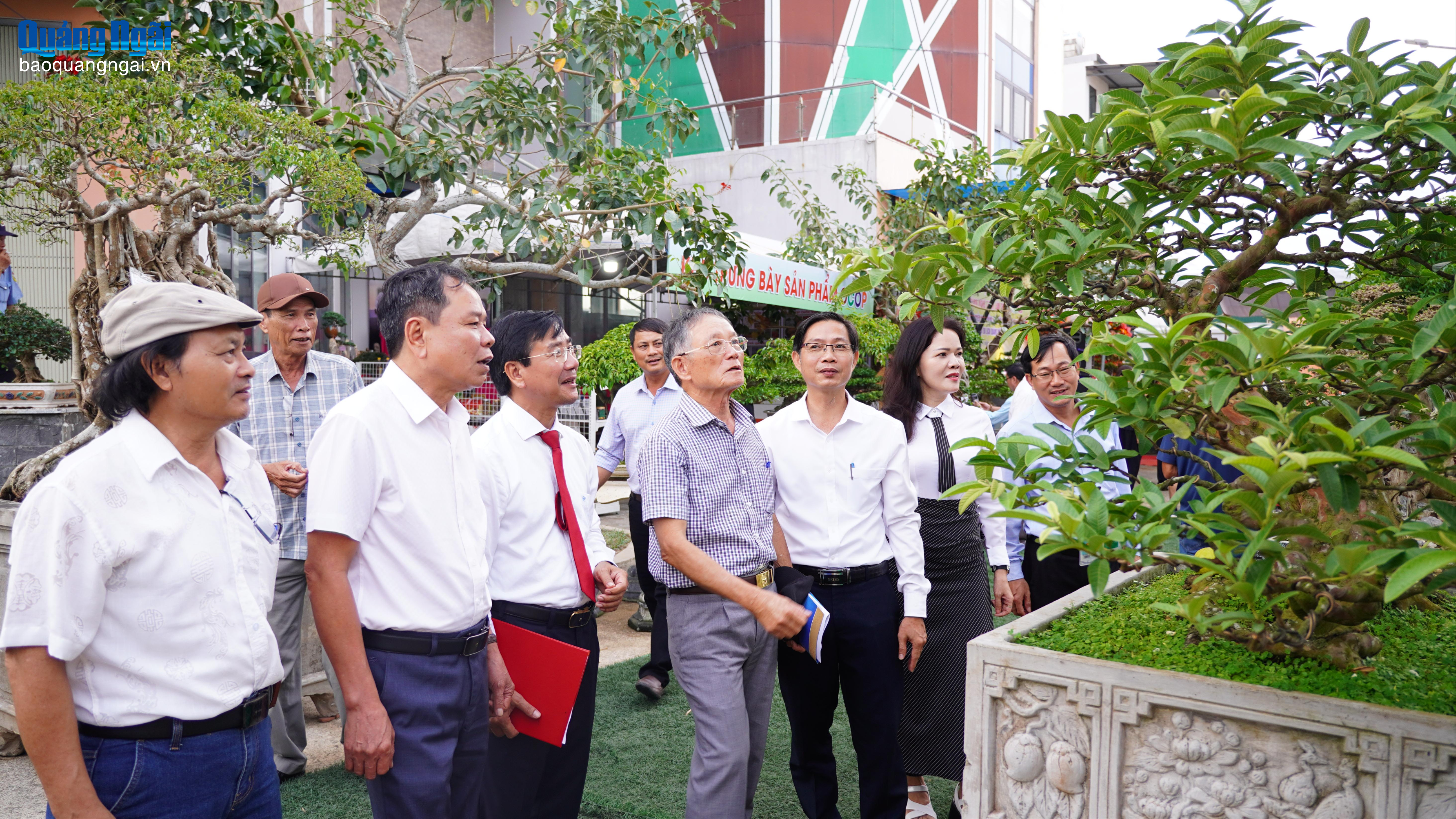 Mỏ Cày khai mạc trưng bày, triển lãm sinh vật cảnh nghệ thuật