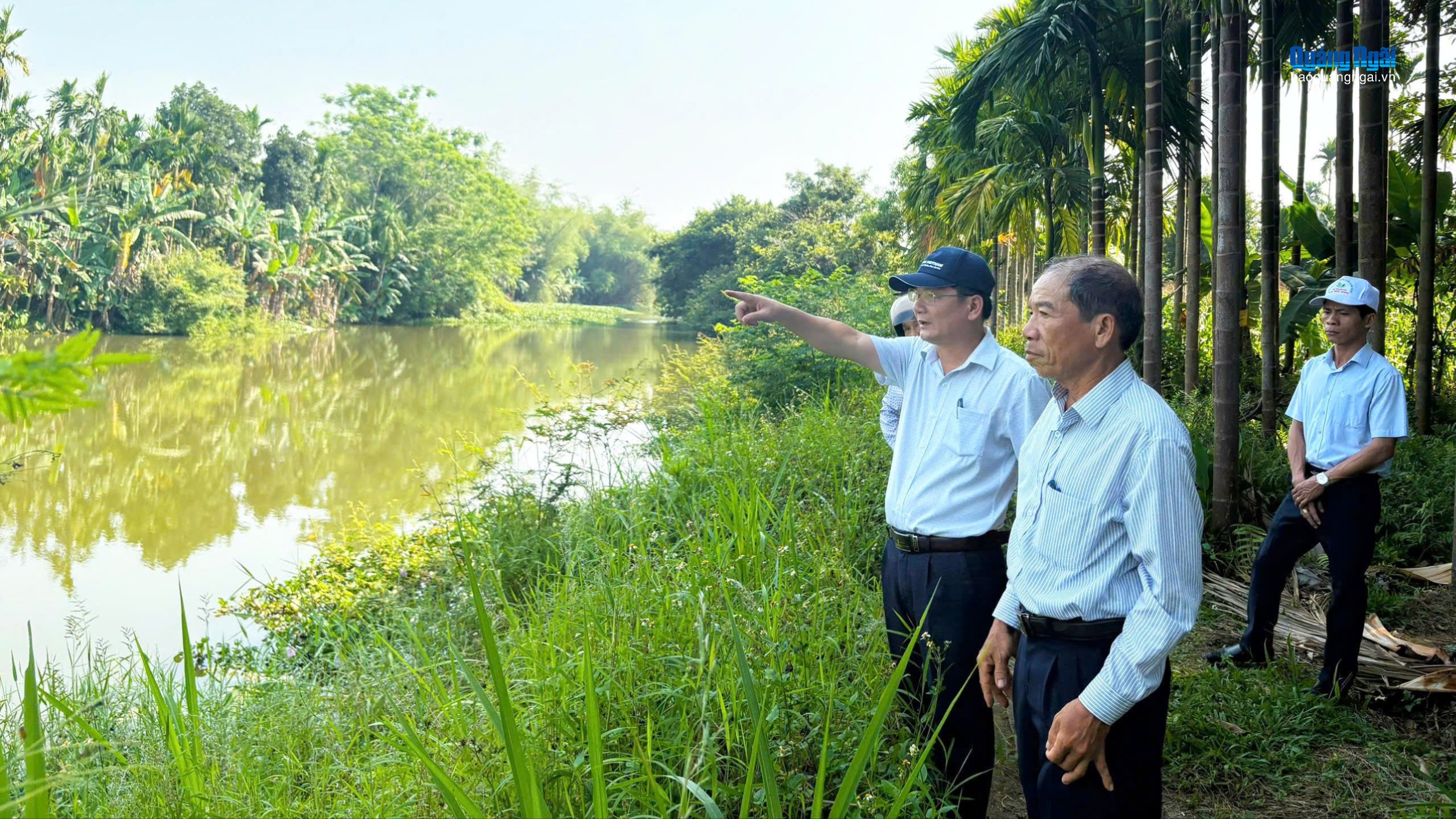 Cần giải pháp xử lý bèo cản trở dòng chảy trên sông Thoa