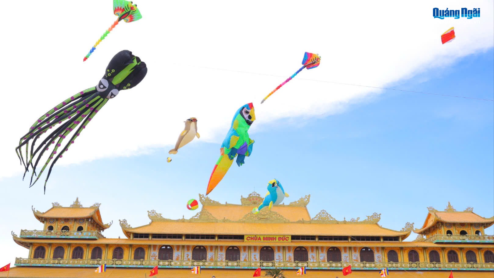 Mãn nhãn trình diễn diều nghệ thuật “Quảng Ngãi bay lên”