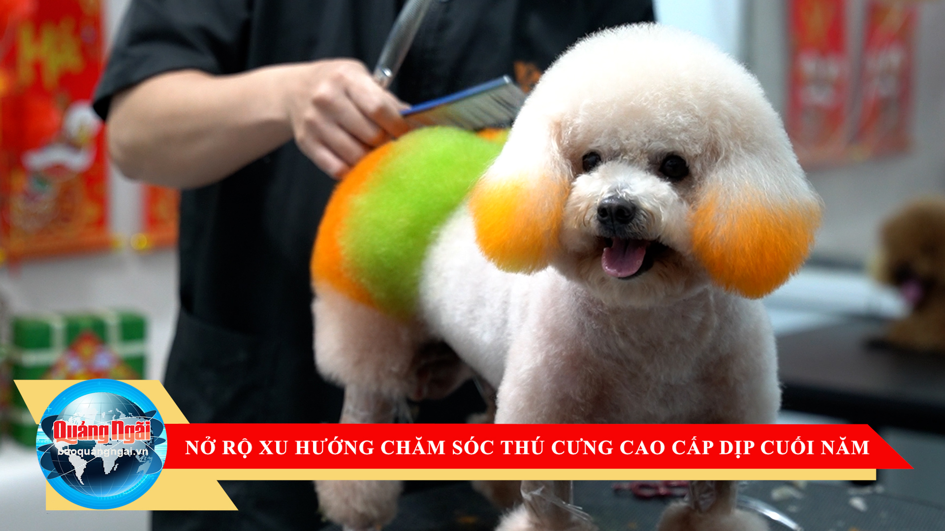 [Video]. Nở rộ xu hướng chăm sóc thú cưng cao cấp dịp cuối năm