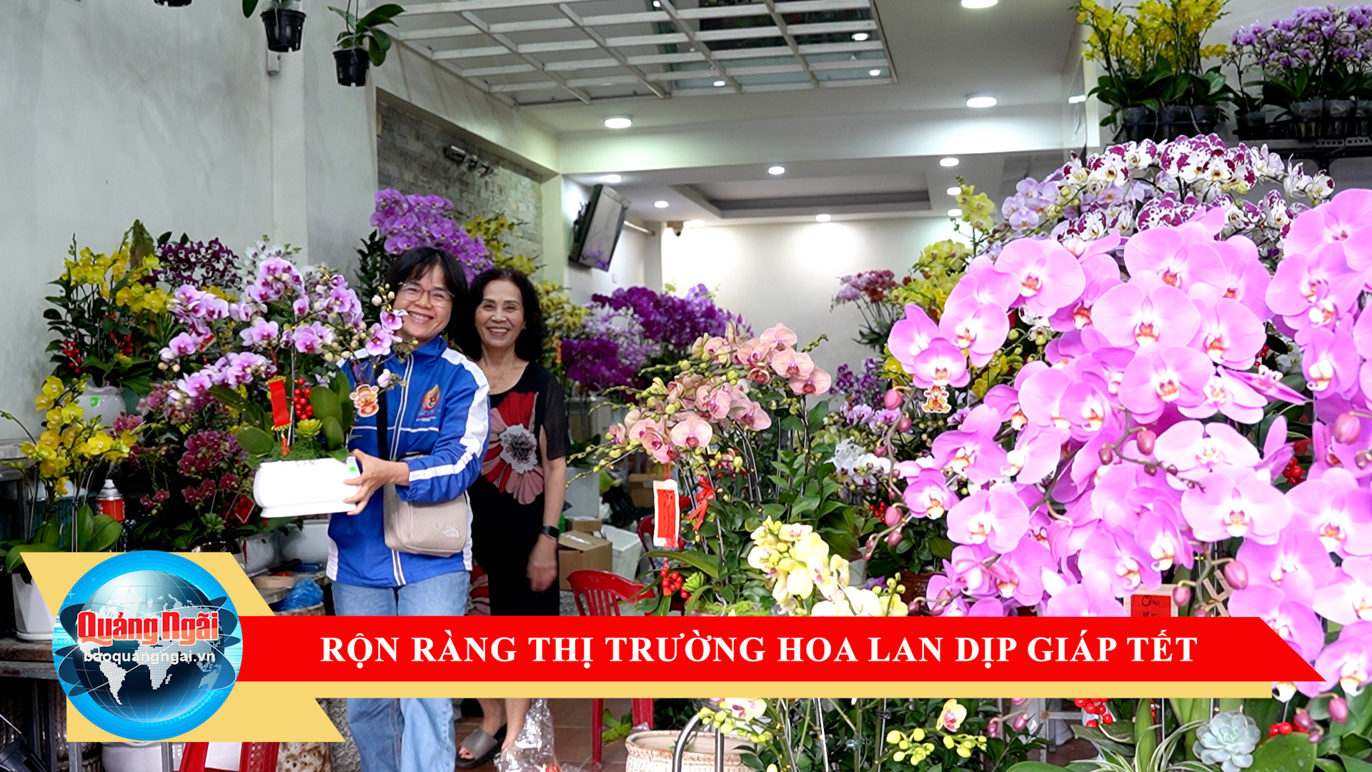 [Video]. Rộn ràng thị trường hoa lan dịp giáp Tết