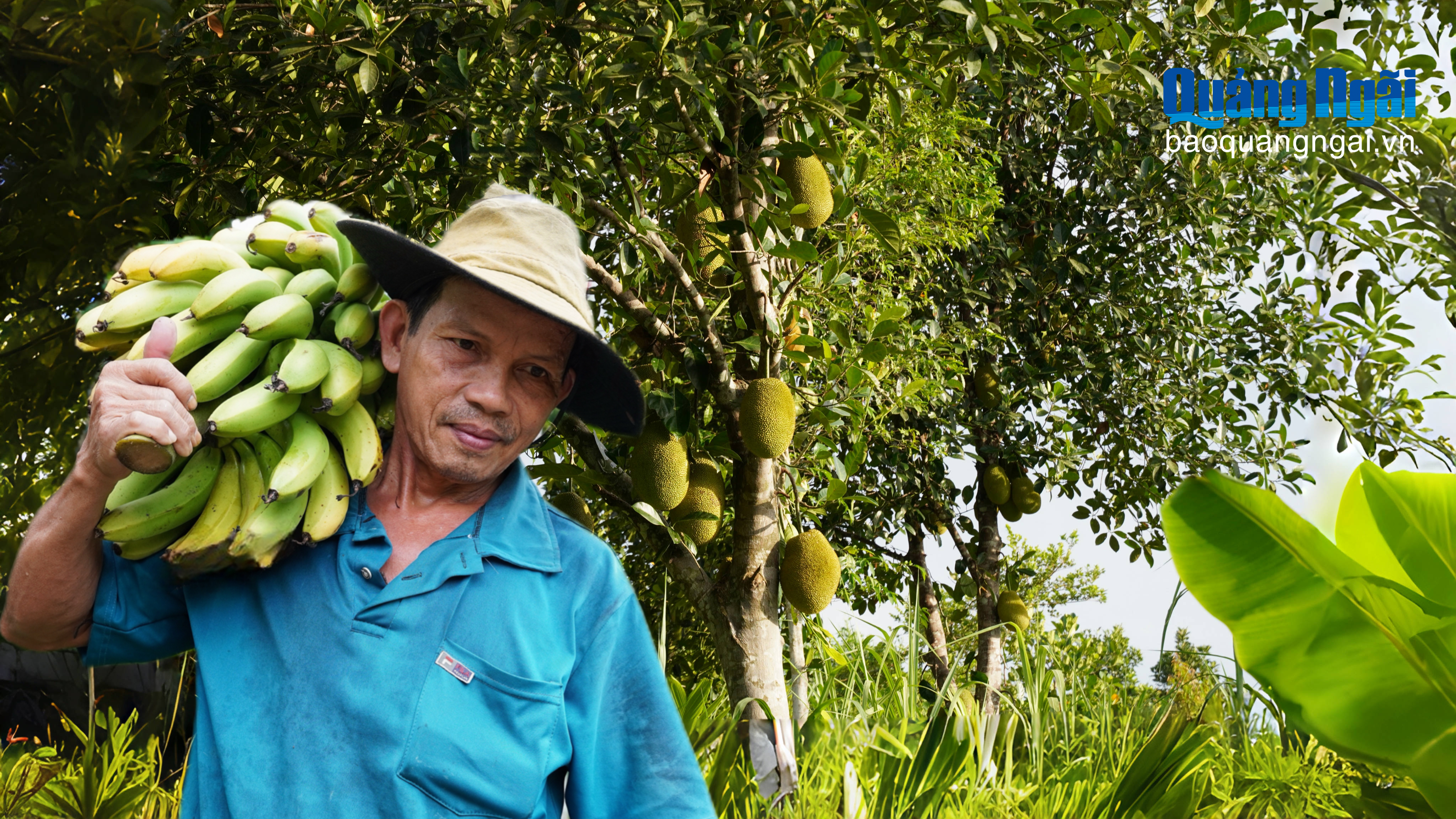 Khu vườn rợp bóng cây ăn quả của lão nông U60