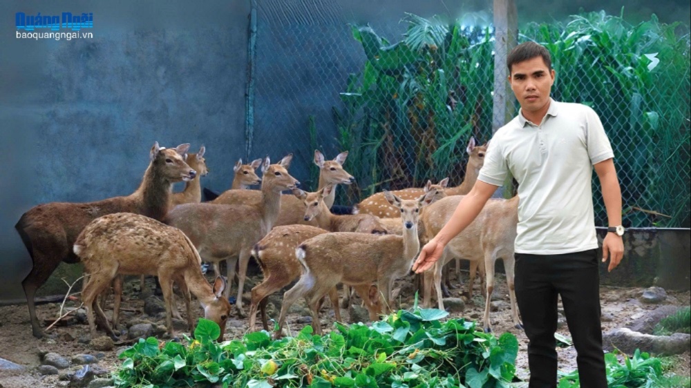 Trưởng thôn 9X năng động