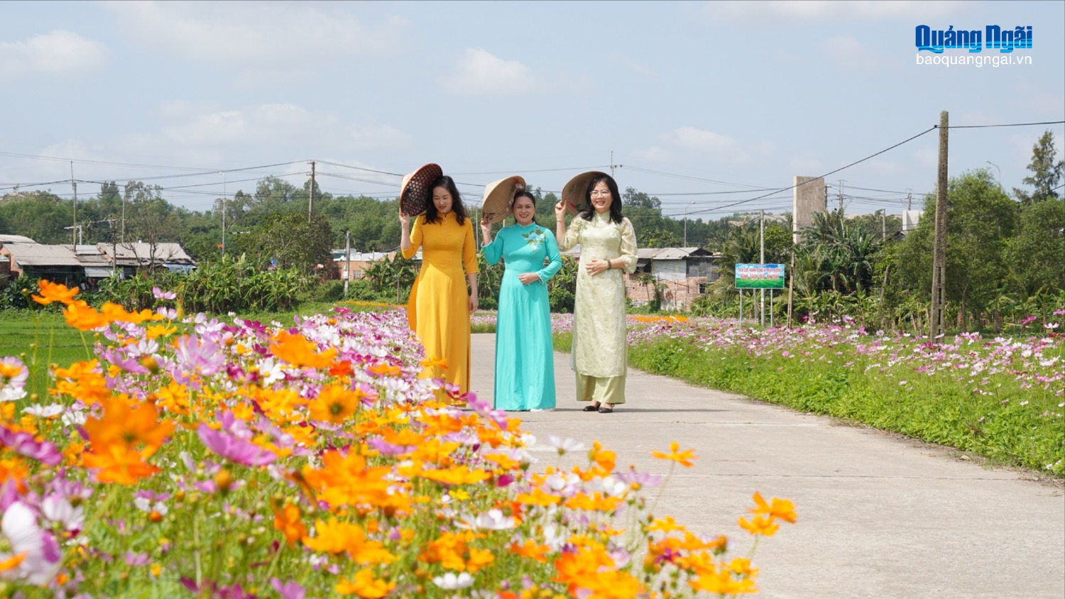 Rực rỡ đường hoa nông thôn đón Tết