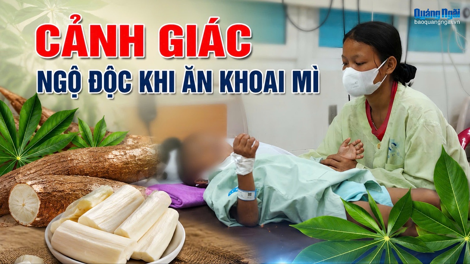 [Video]. Cảnh giác ngộ độc khi ăn khoai mì