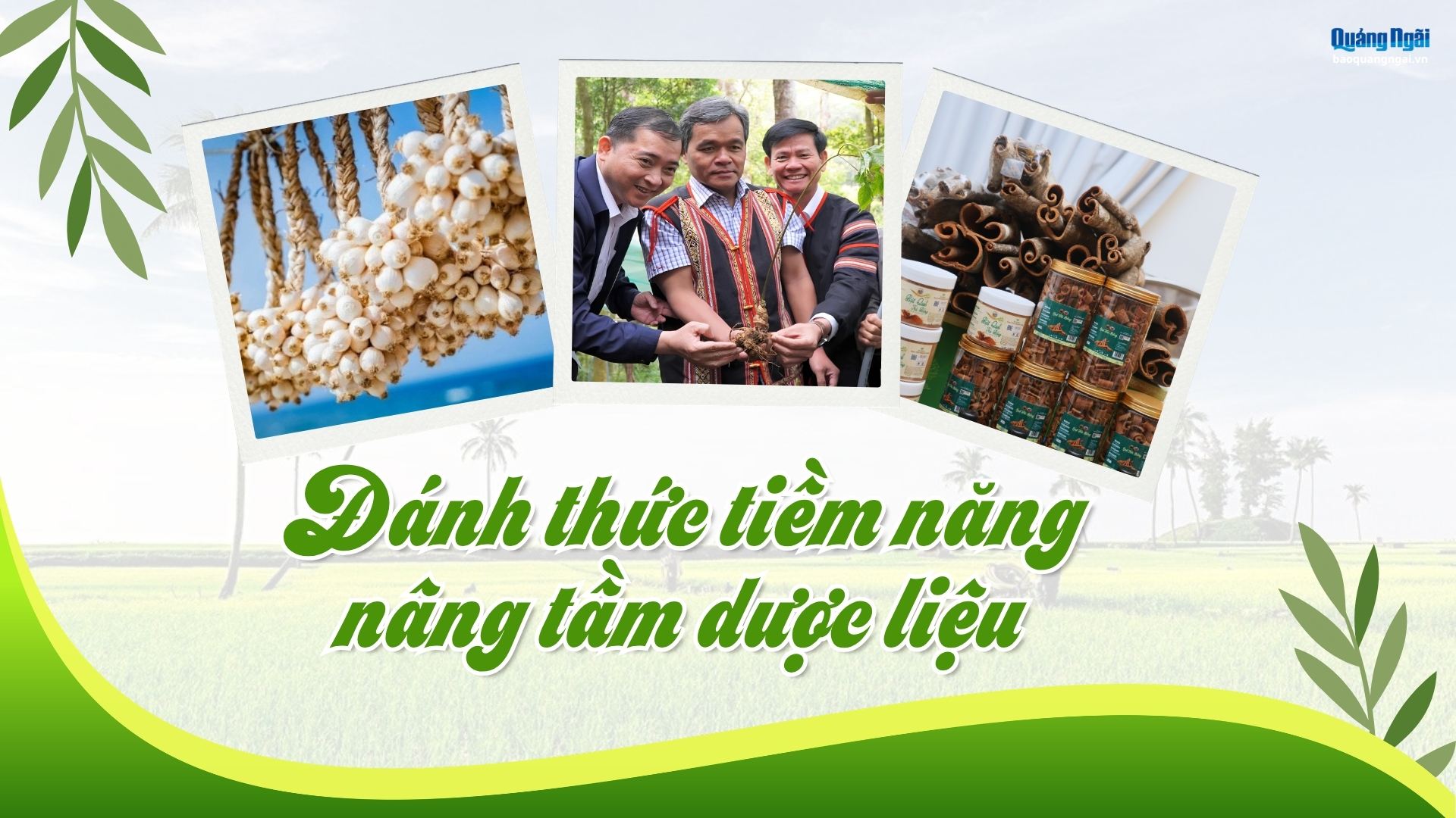 [Emagazine]. Đánh thức tiềm năng, nâng tầm dược liệu
