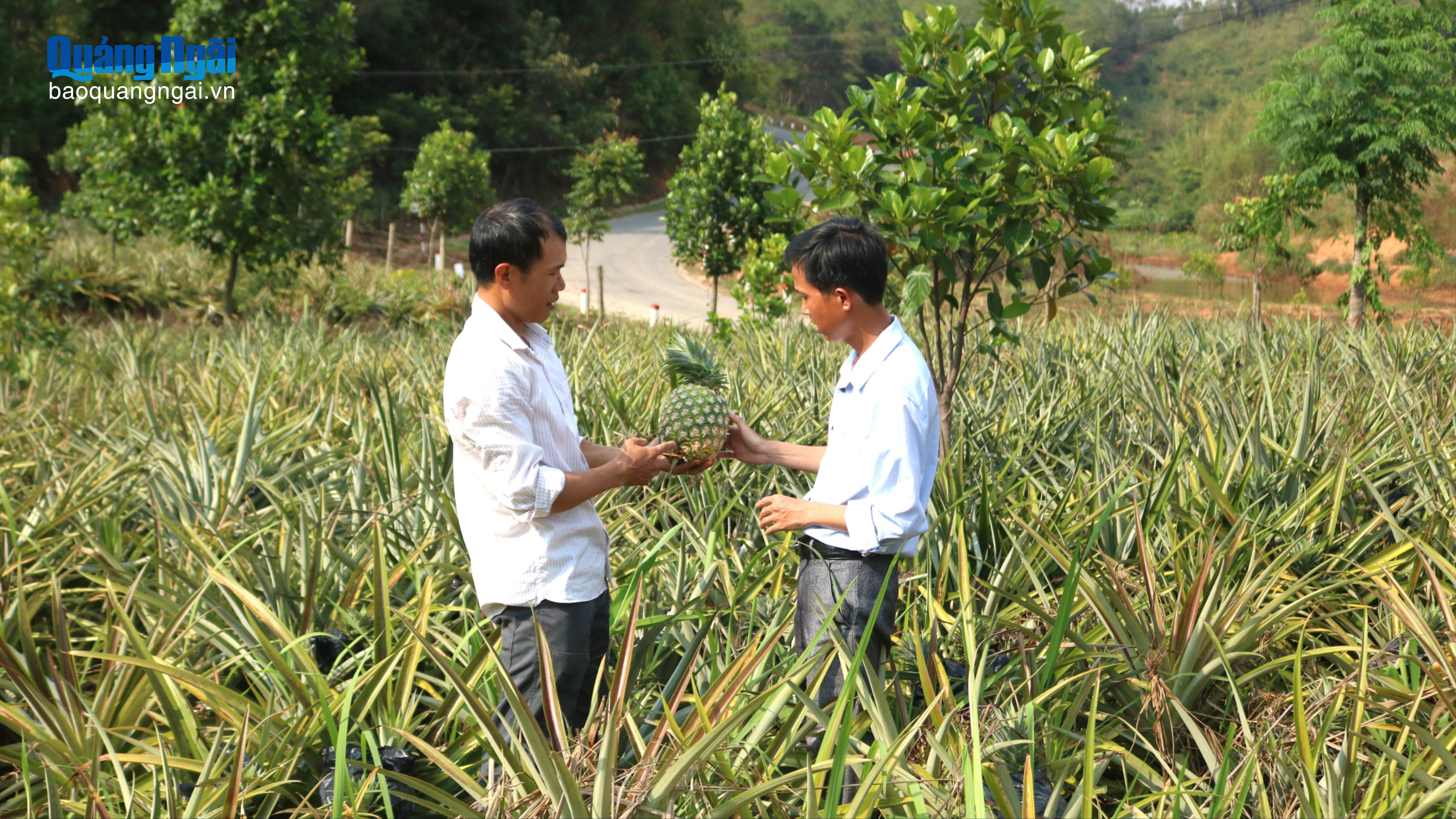 Nông dân làm giàu nhờ chuyển đổi cây trồng, vật nuôi