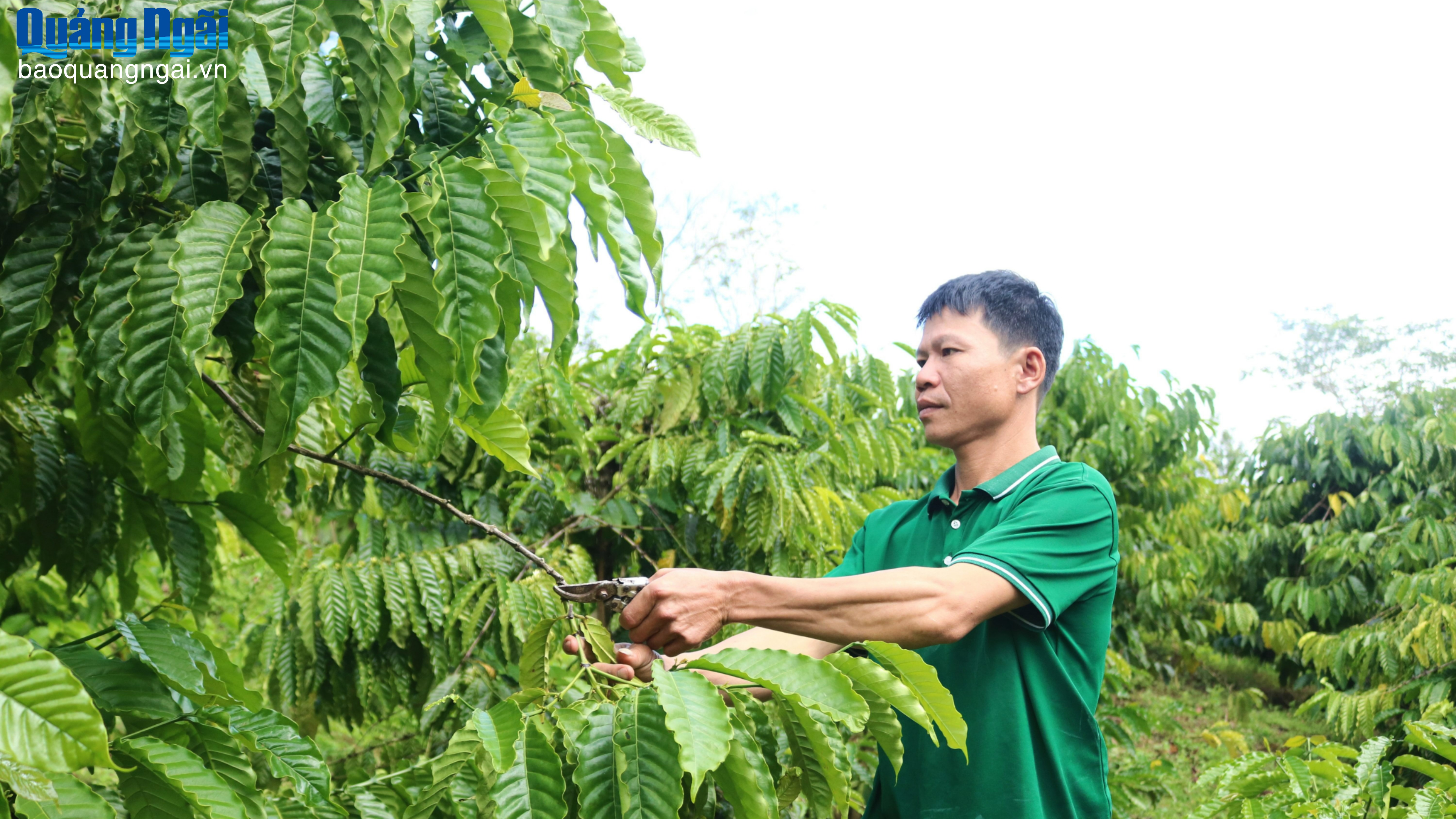 Thu nhập cao từ mô hình kinh tế tổng hợp