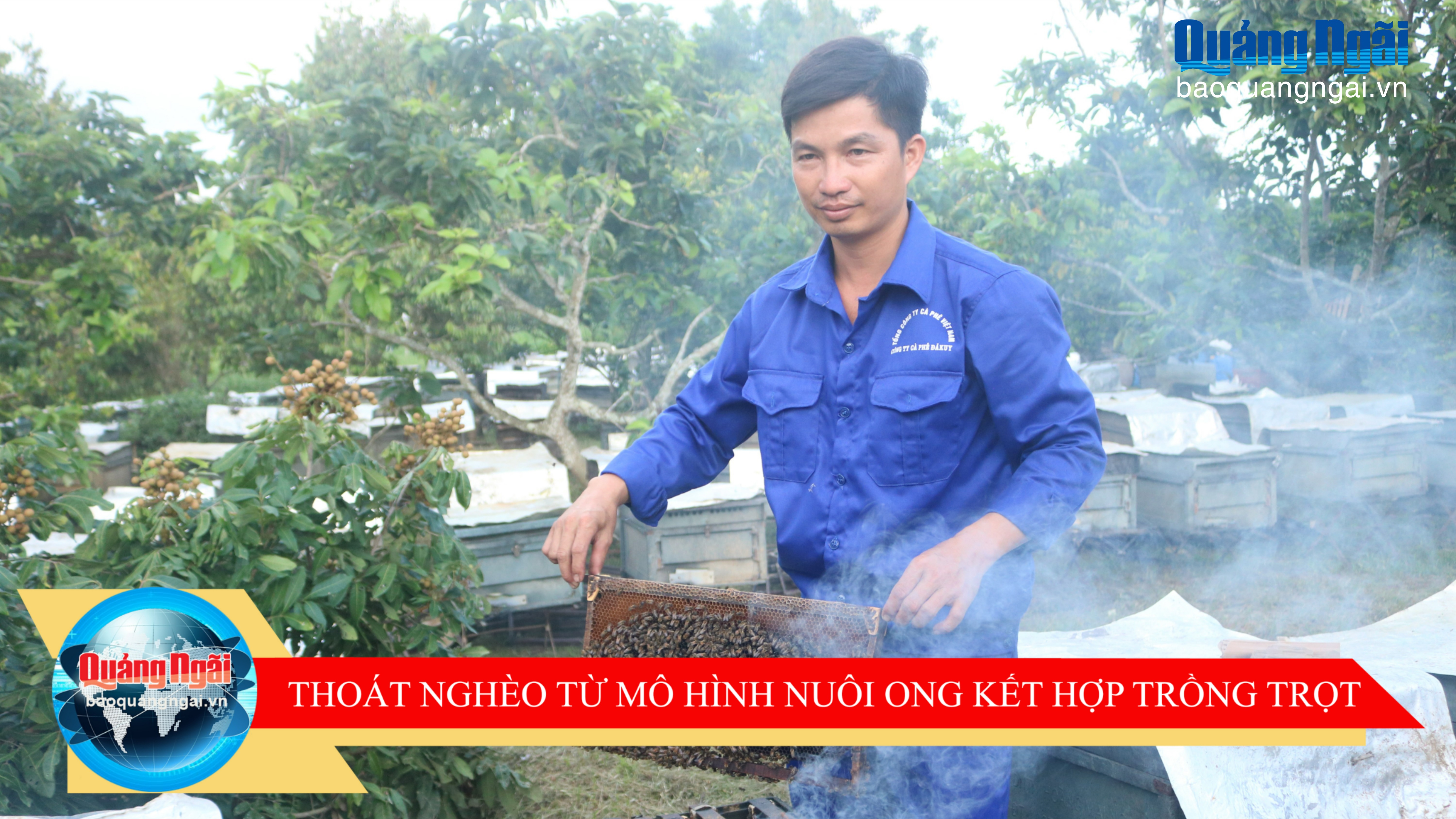 Thoát nghèo từ mô hình nuôi ong kết hợp trồng trọt